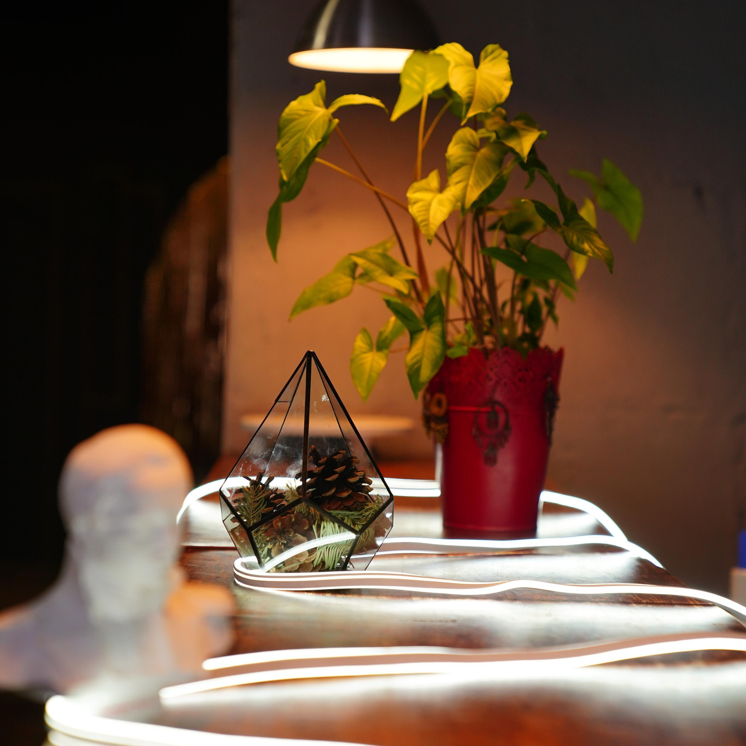 Отзывы. MEMENTO.Выпускные альбомы, школьные, юбилейные и другие книги. Ростов-на-Дону