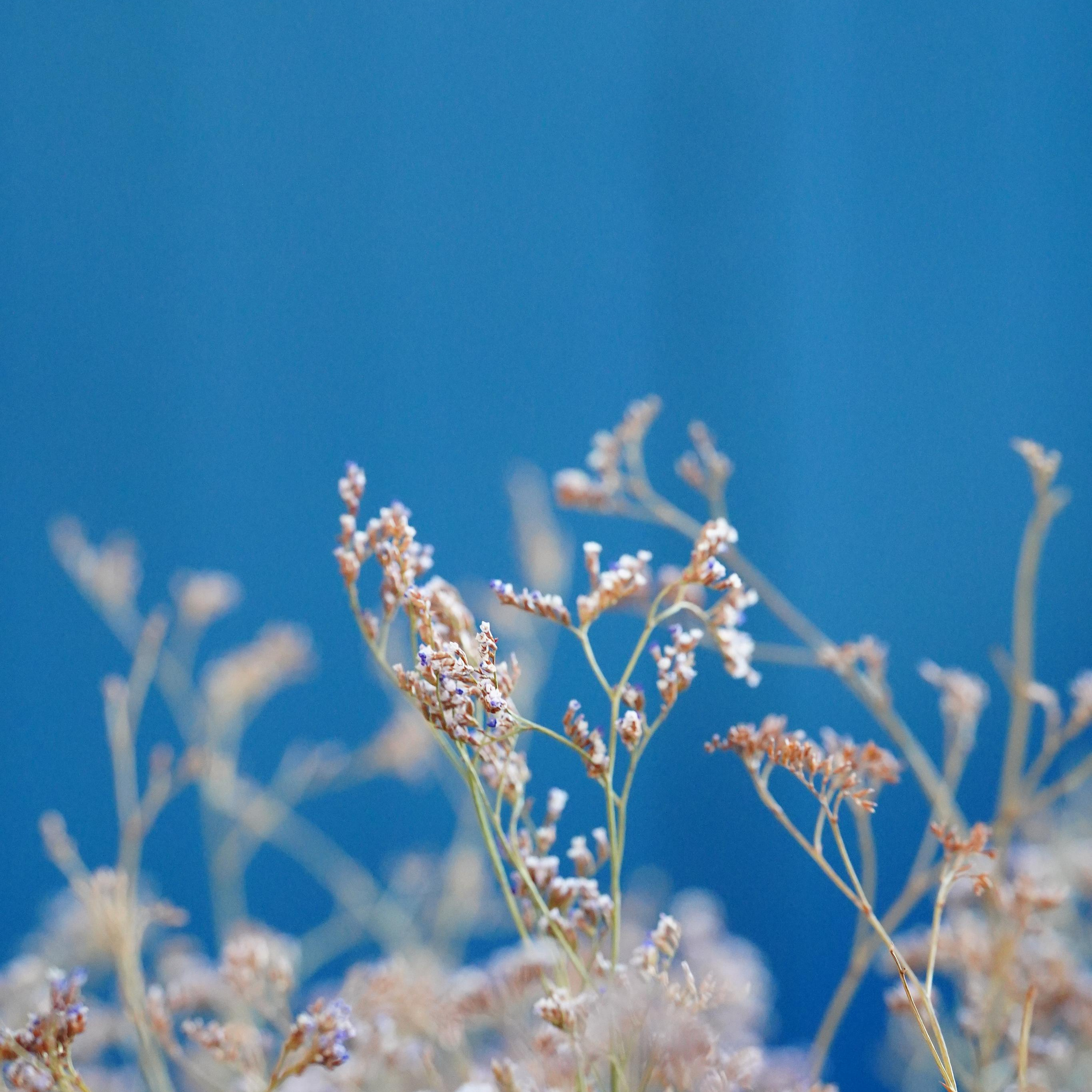 Отзывы. MEMENTO.Выпускные альбомы, школьные, юбилейные и другие книги. Ростов-на-Дону