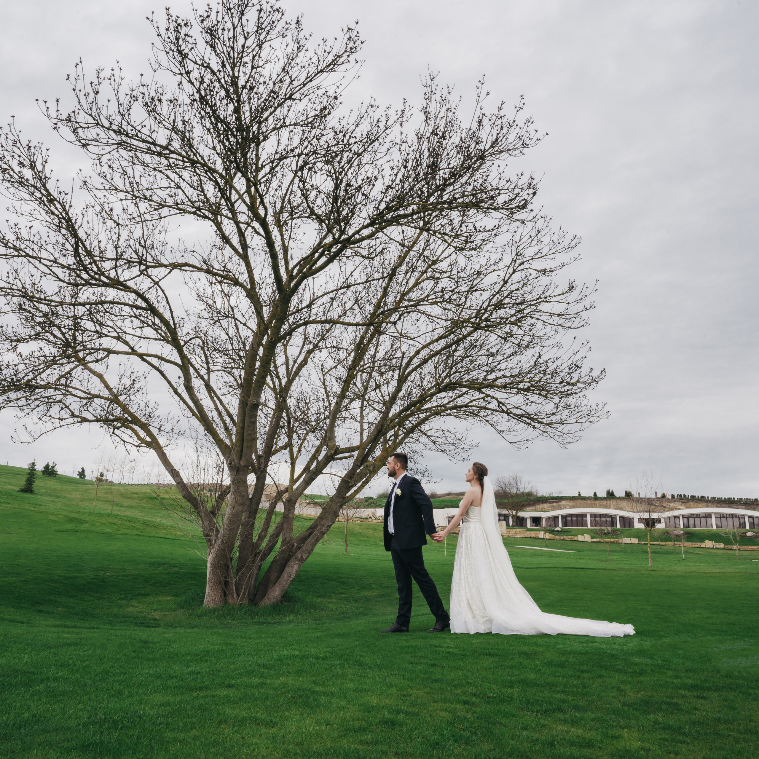 Долгожданная