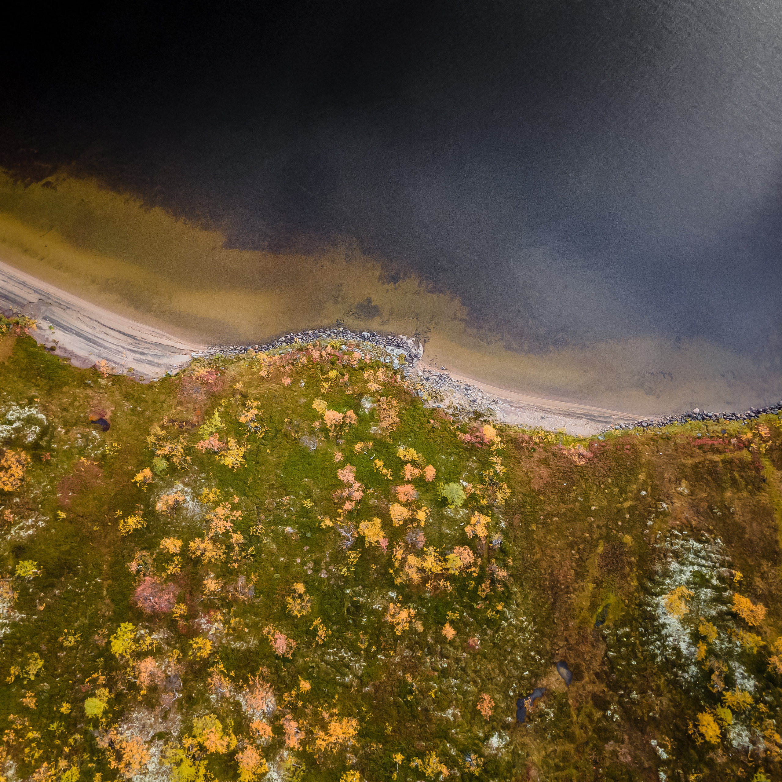 Путешествия