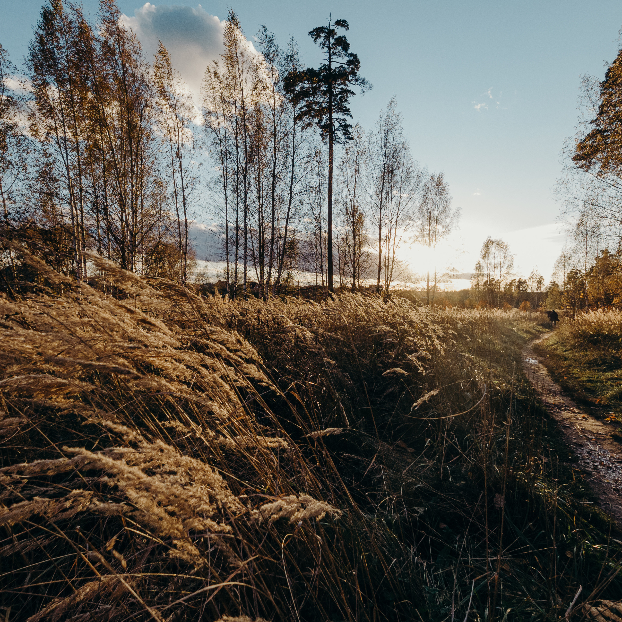 Съемка в путешествиях, туризм, блог. Контент съемка под ключ. Световое шоу / Москва и Мо