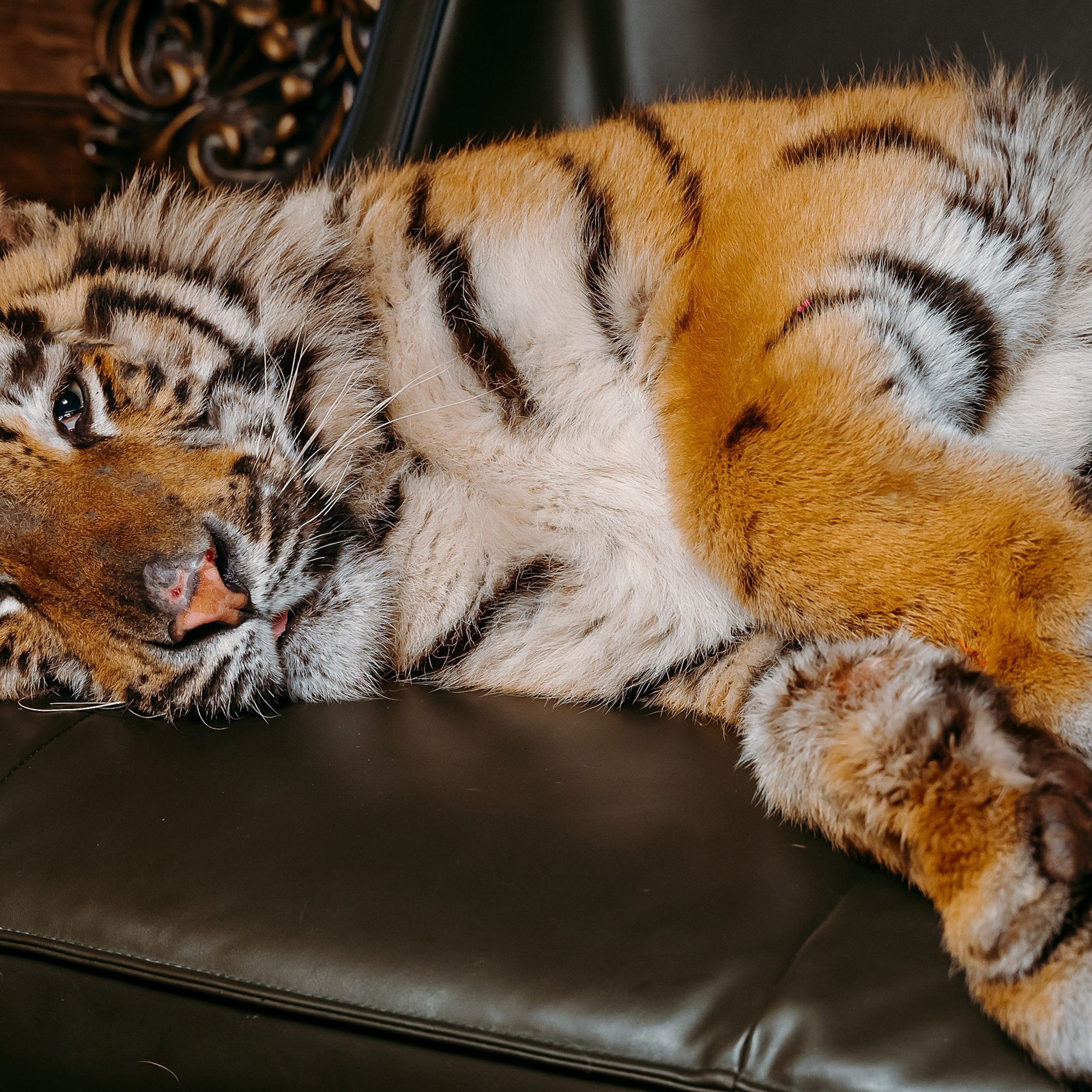 День Рождения Степана. Репортажный фотограф в Санкт-Петербурге | Влад Грунь