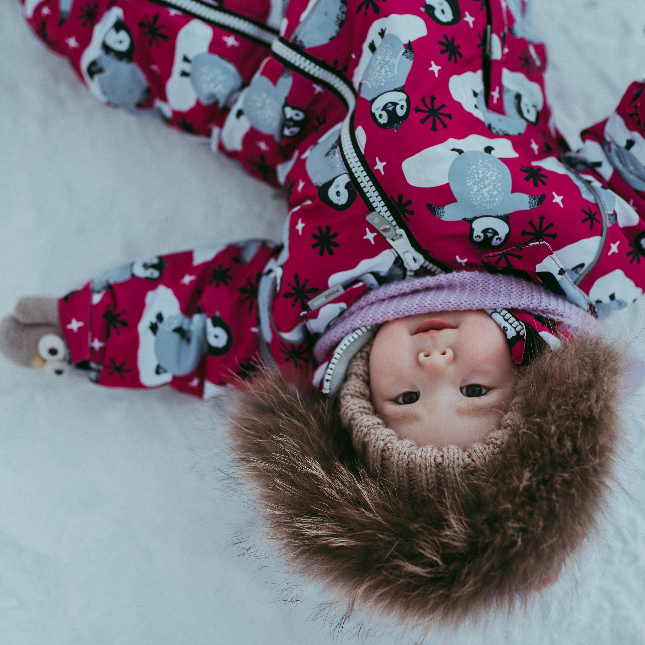 Зимняя сказка