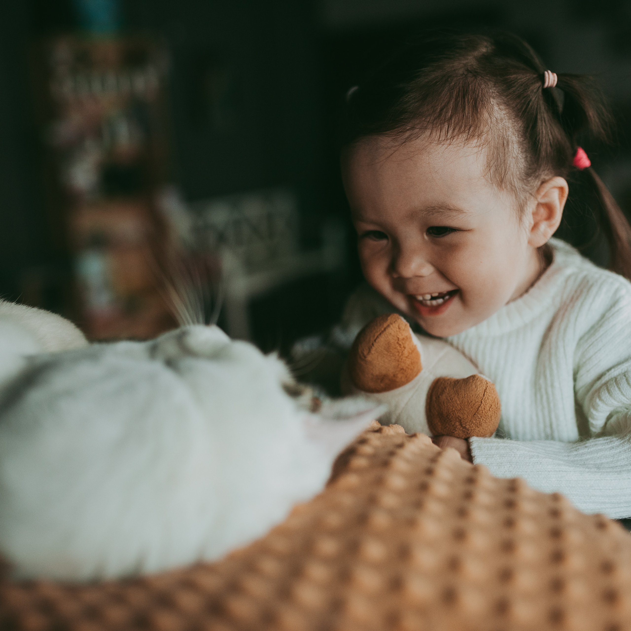 В гостях у котиков