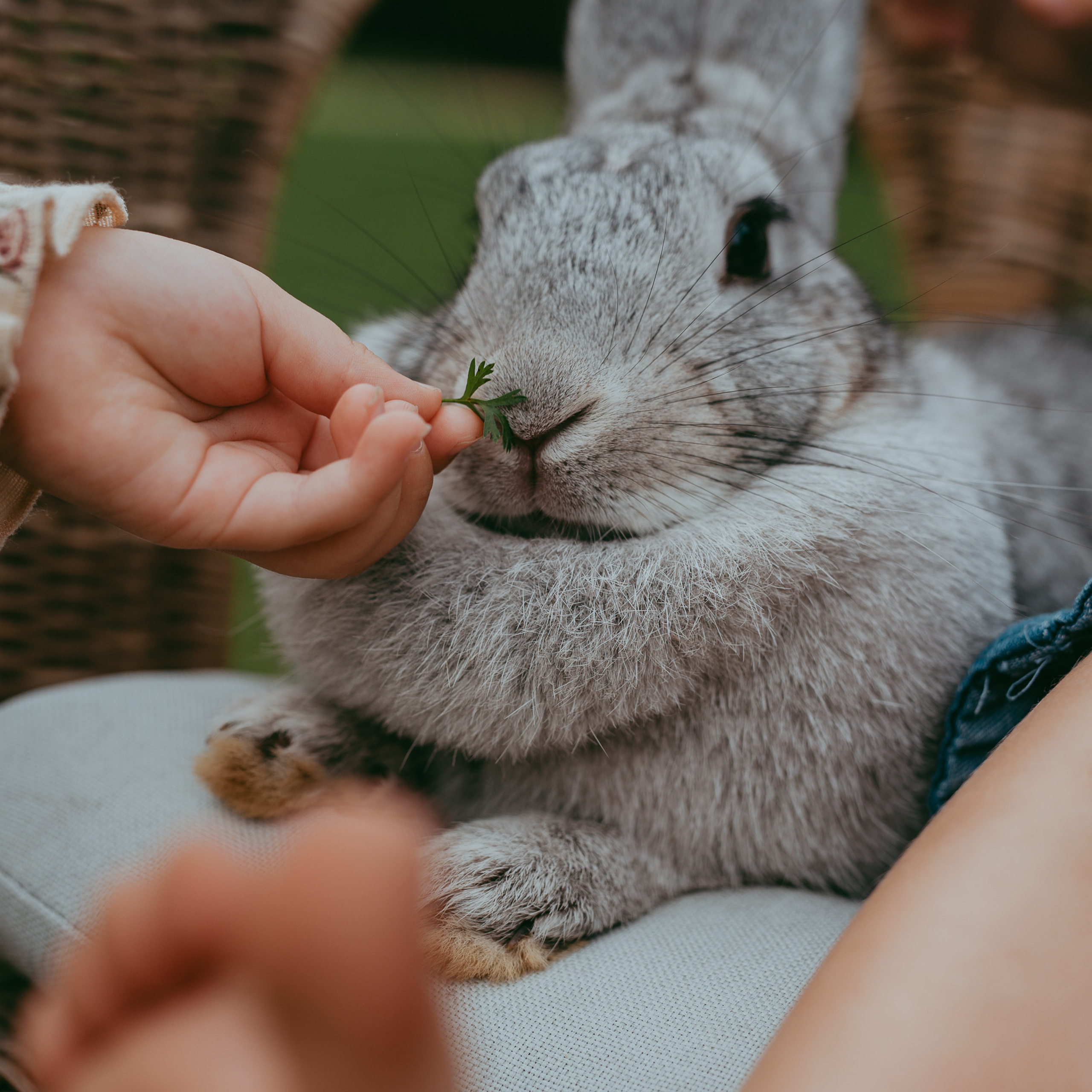 Отзывы. Семейный и детский фотограф в Новосибирске и Краснообске — Анна Ким