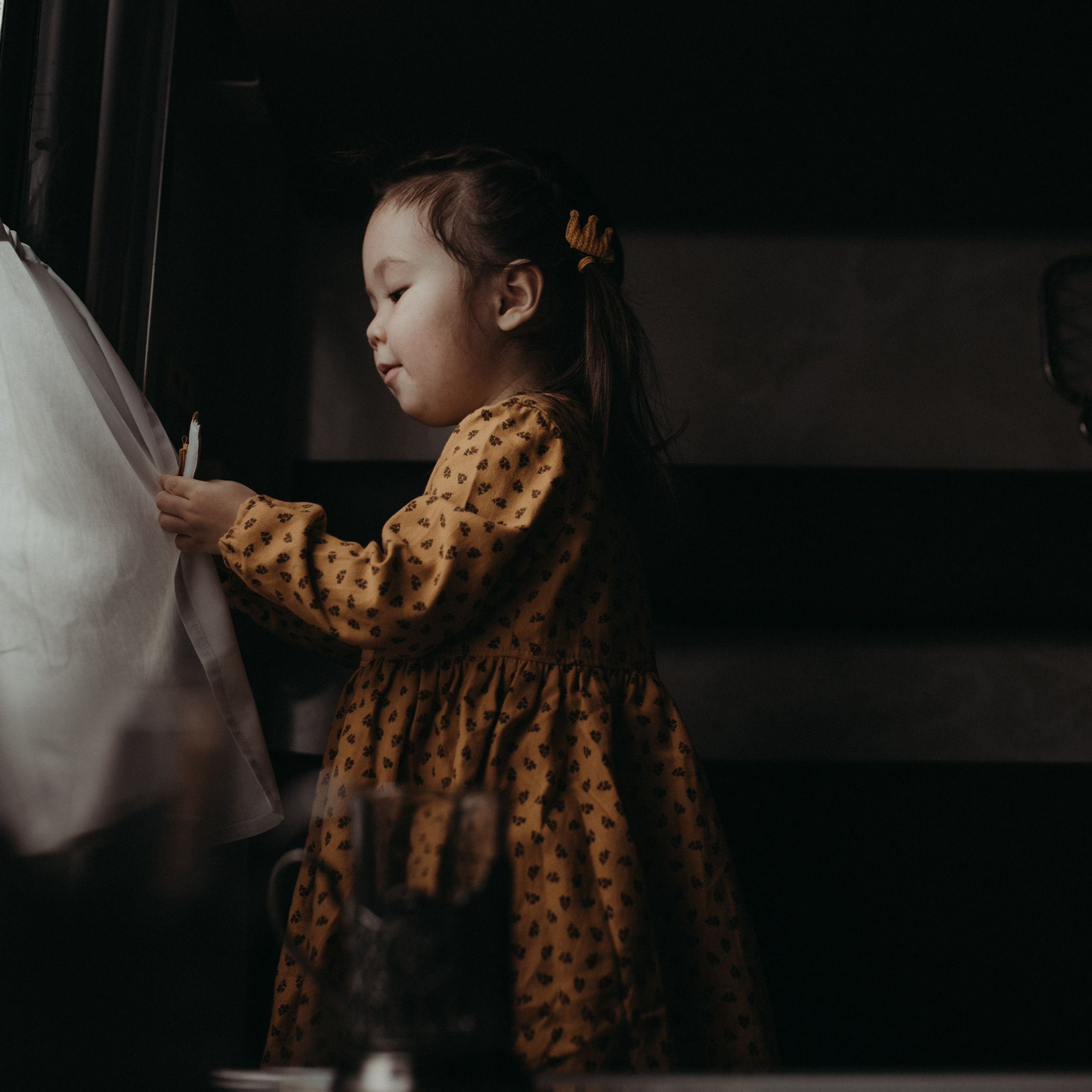 Алиса едет к бабушке