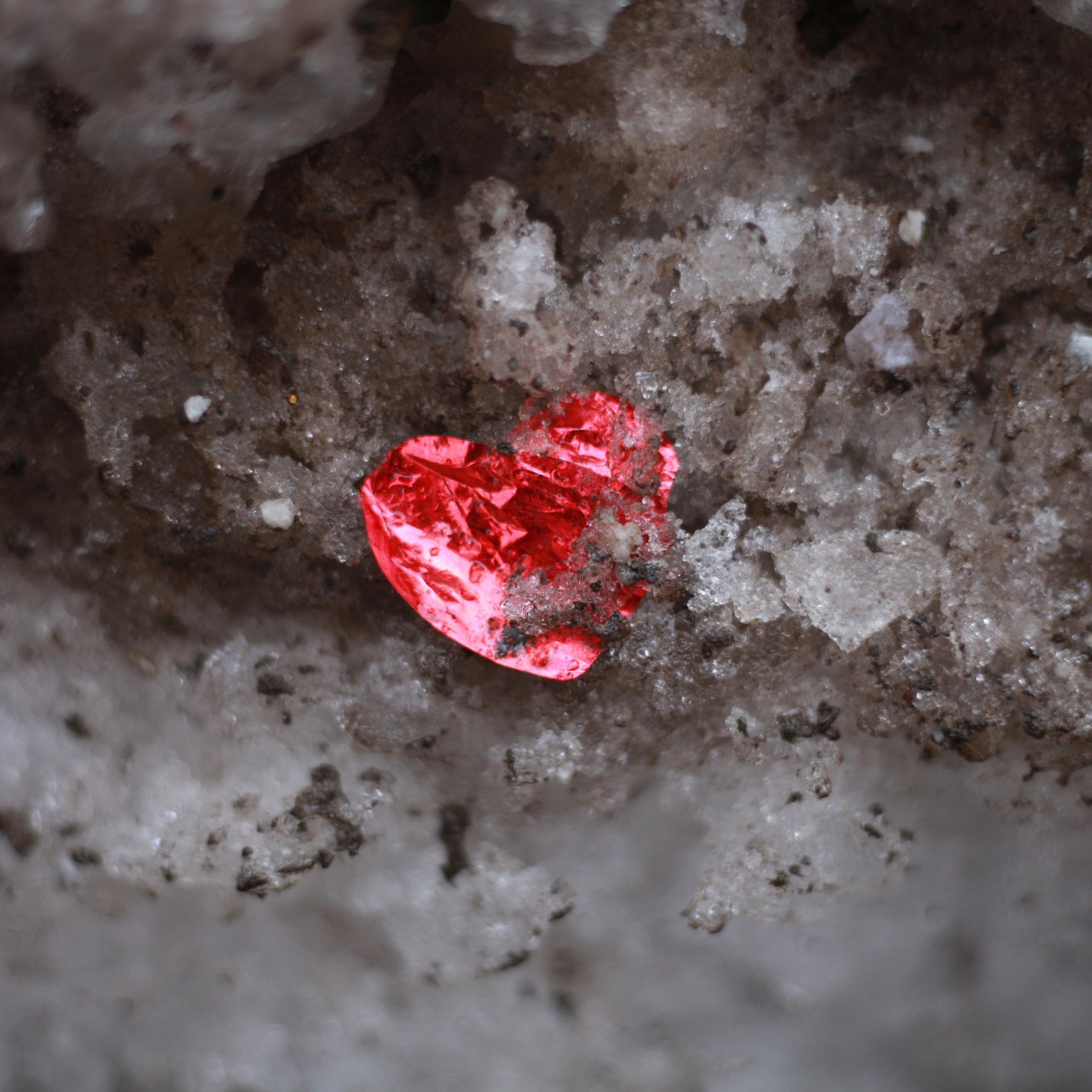 Подснежники