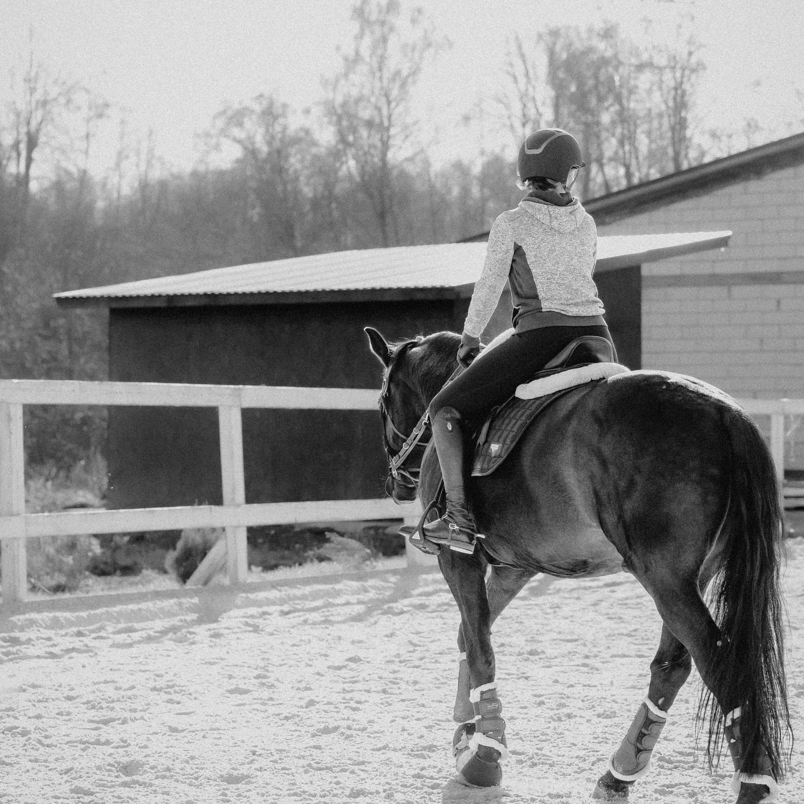Отзывы. Фотограф-анималист Смирнова Клеопатра|Москва