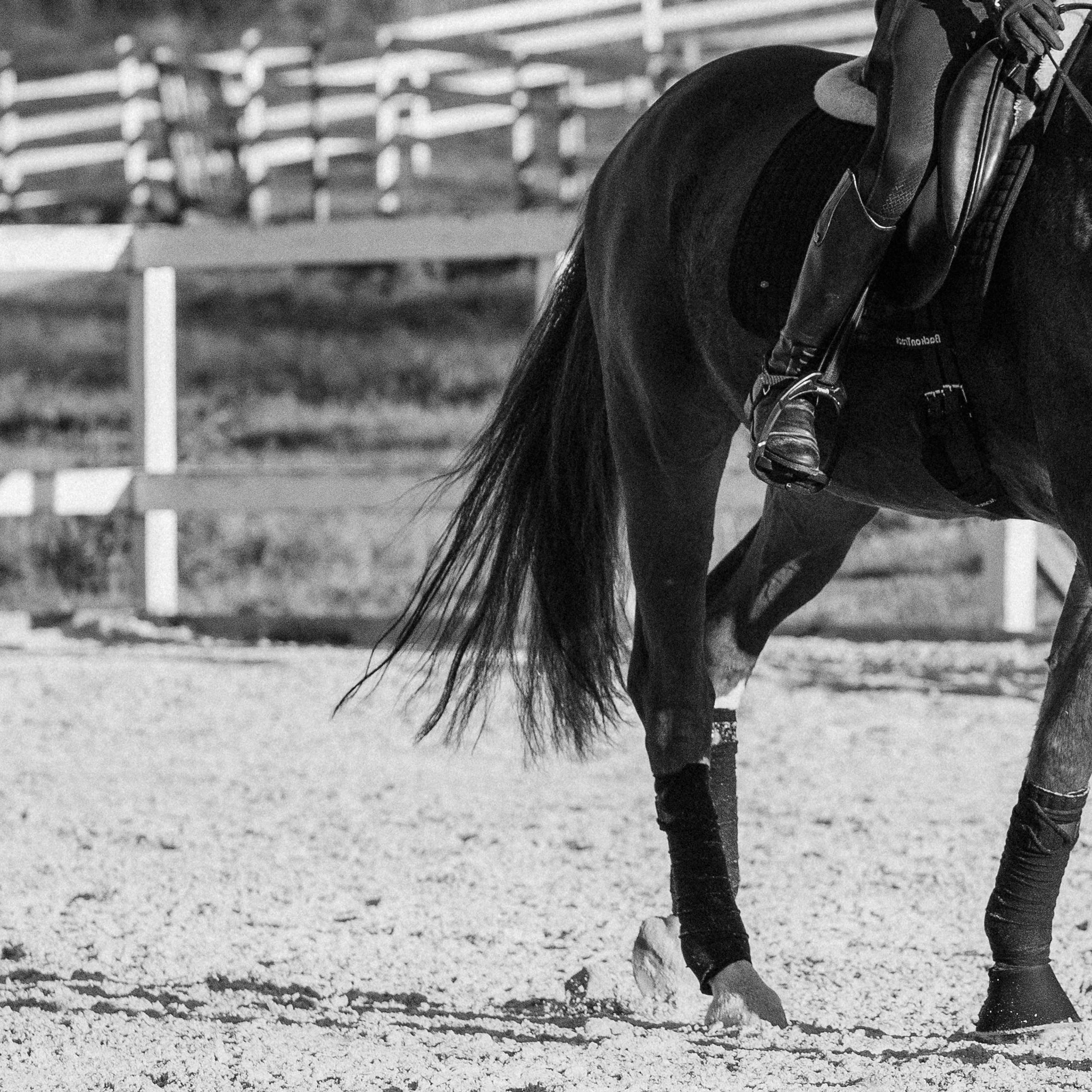 Мария и Саншайн