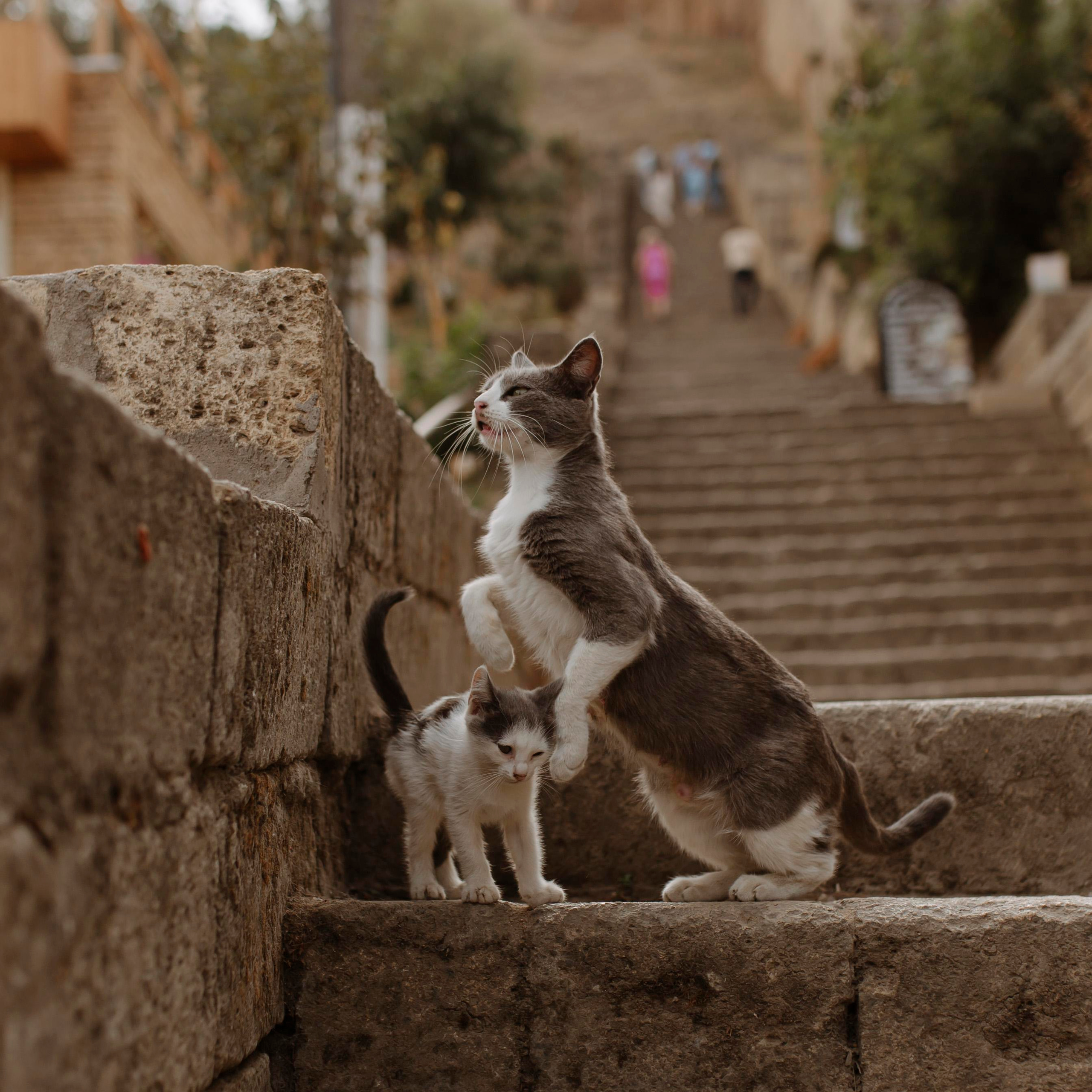Отзывы. Фотограф во Владимире и Москве