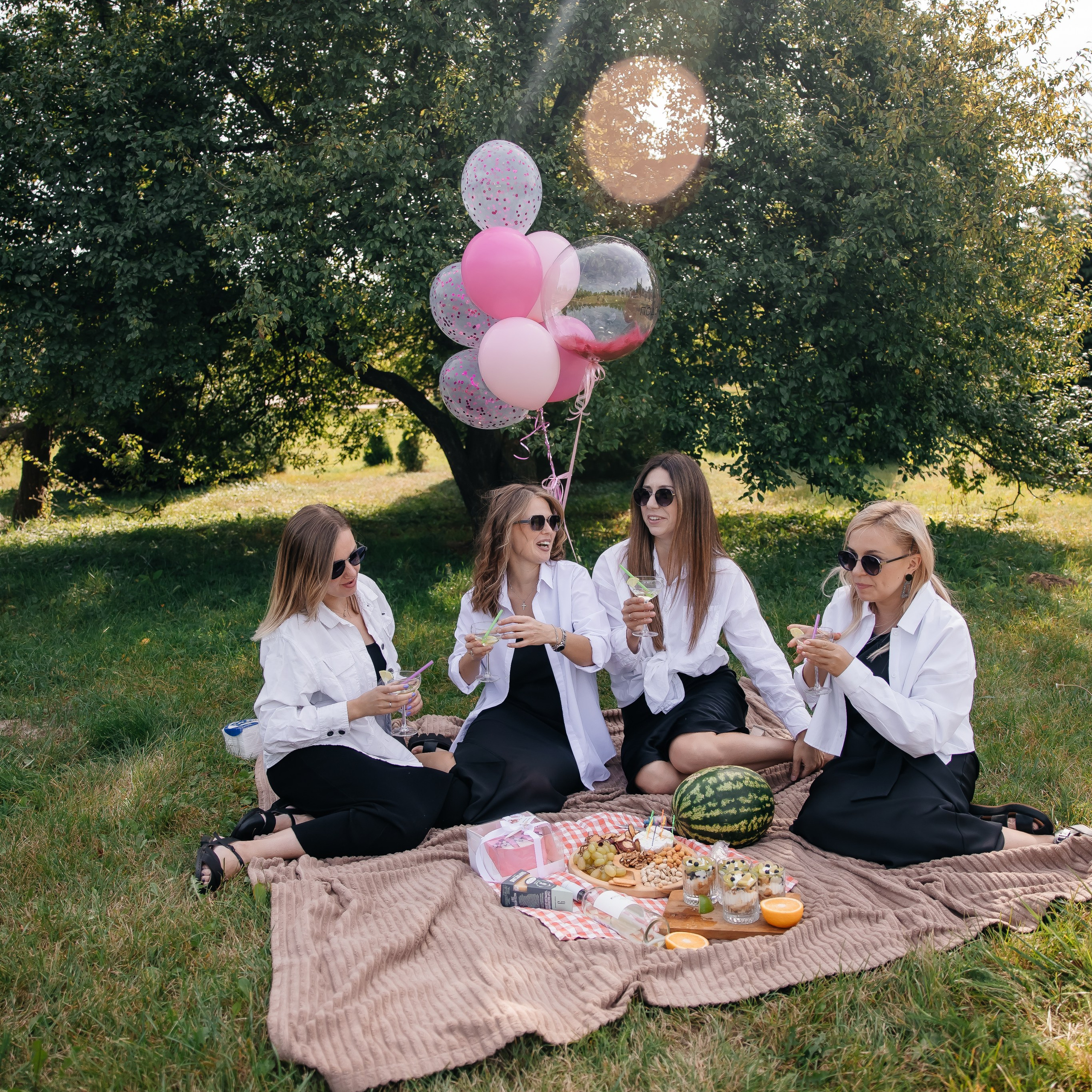 Пикник на День Рождения