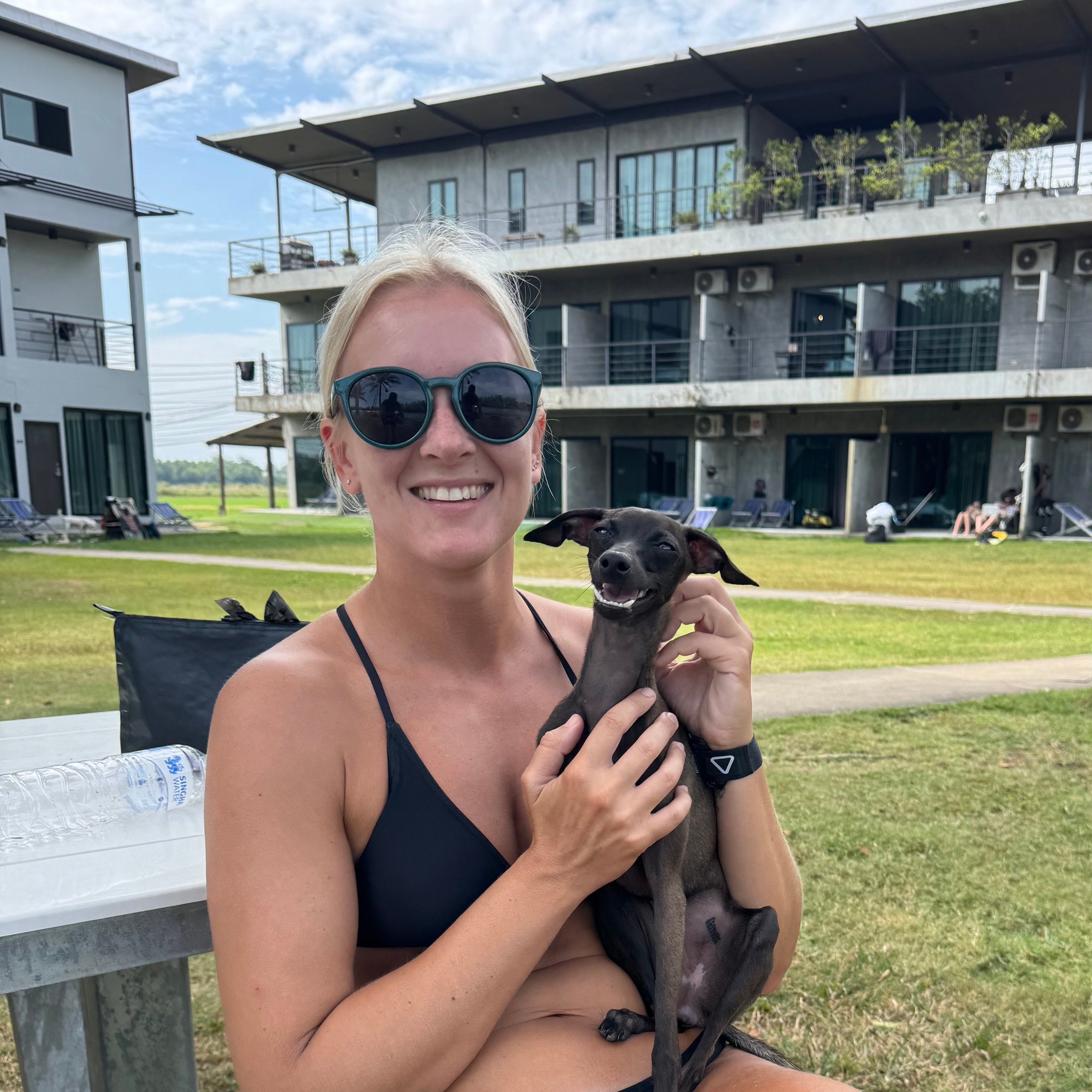 Профессиональный питомник левреток РКФ/FCI ASTI SAPPHIRE 💎 Сочи|Санкт-Петербург