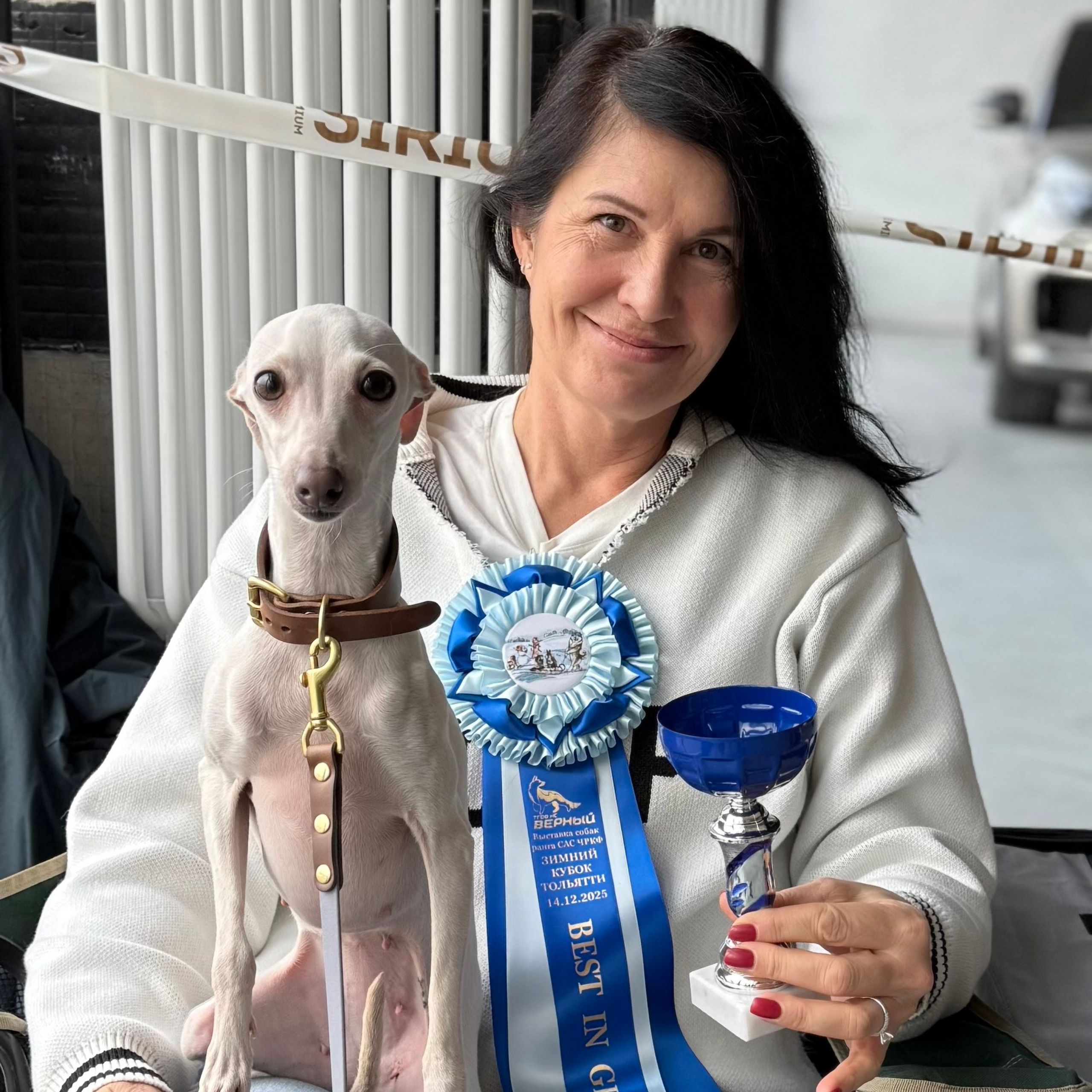 Отзывы. Профессиональный питомник левреток РКФ/FCI ASTI SAPPHIRE 💎 Сочи|Санкт-Петербург