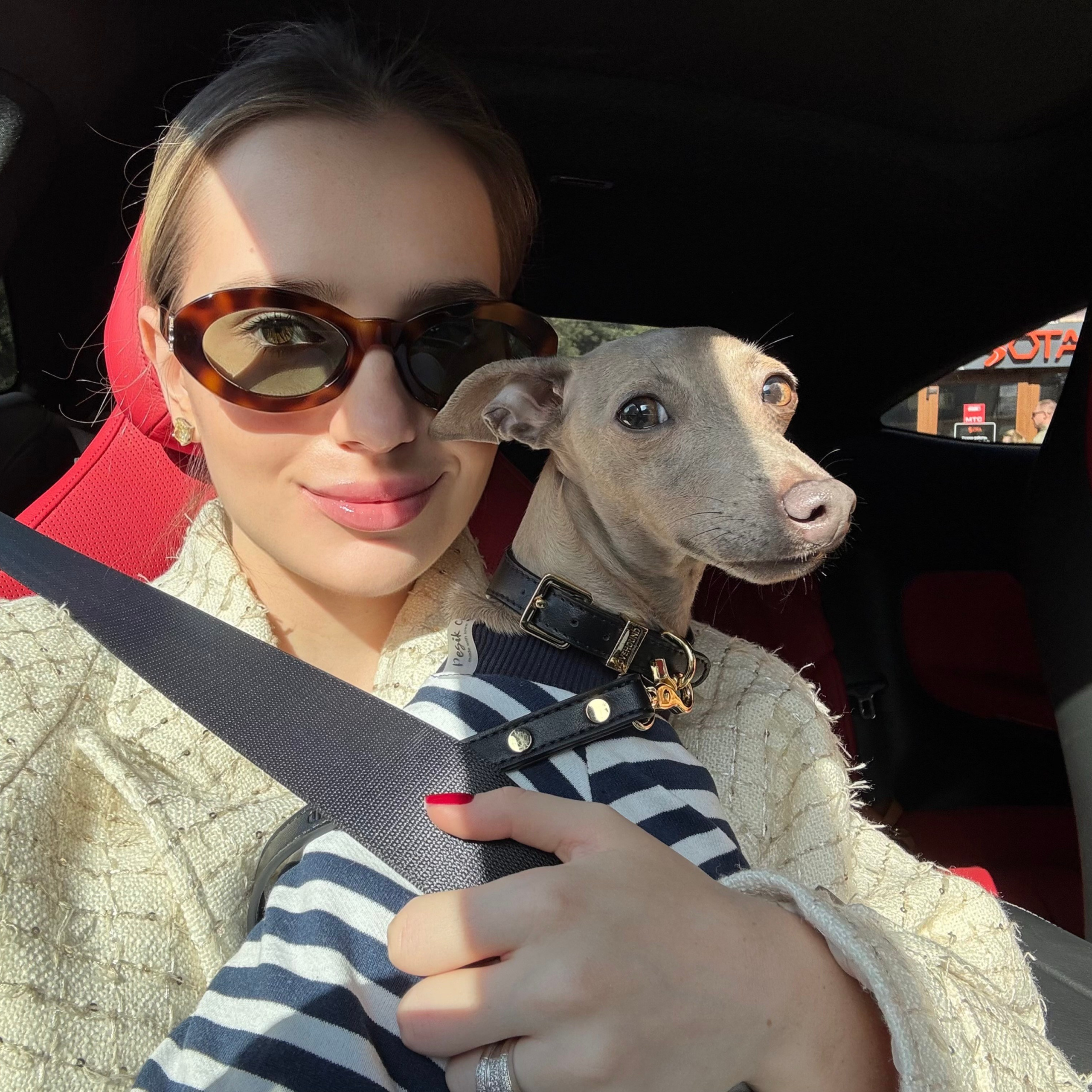 Отзывы. Профессиональный питомник левреток РКФ/FCI ASTI SAPPHIRE 💎 Сочи|Санкт-Петербург