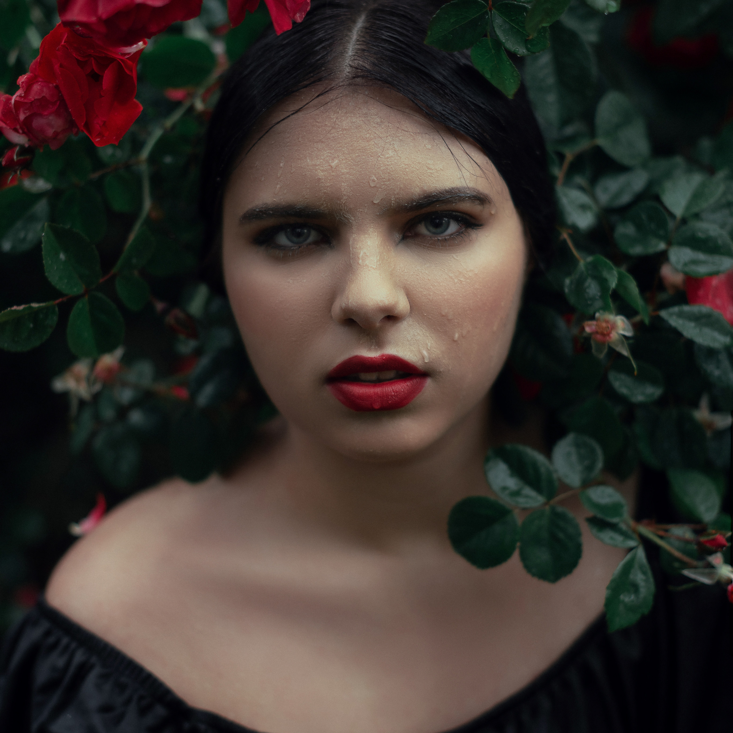 Anastasia Rain and Roses