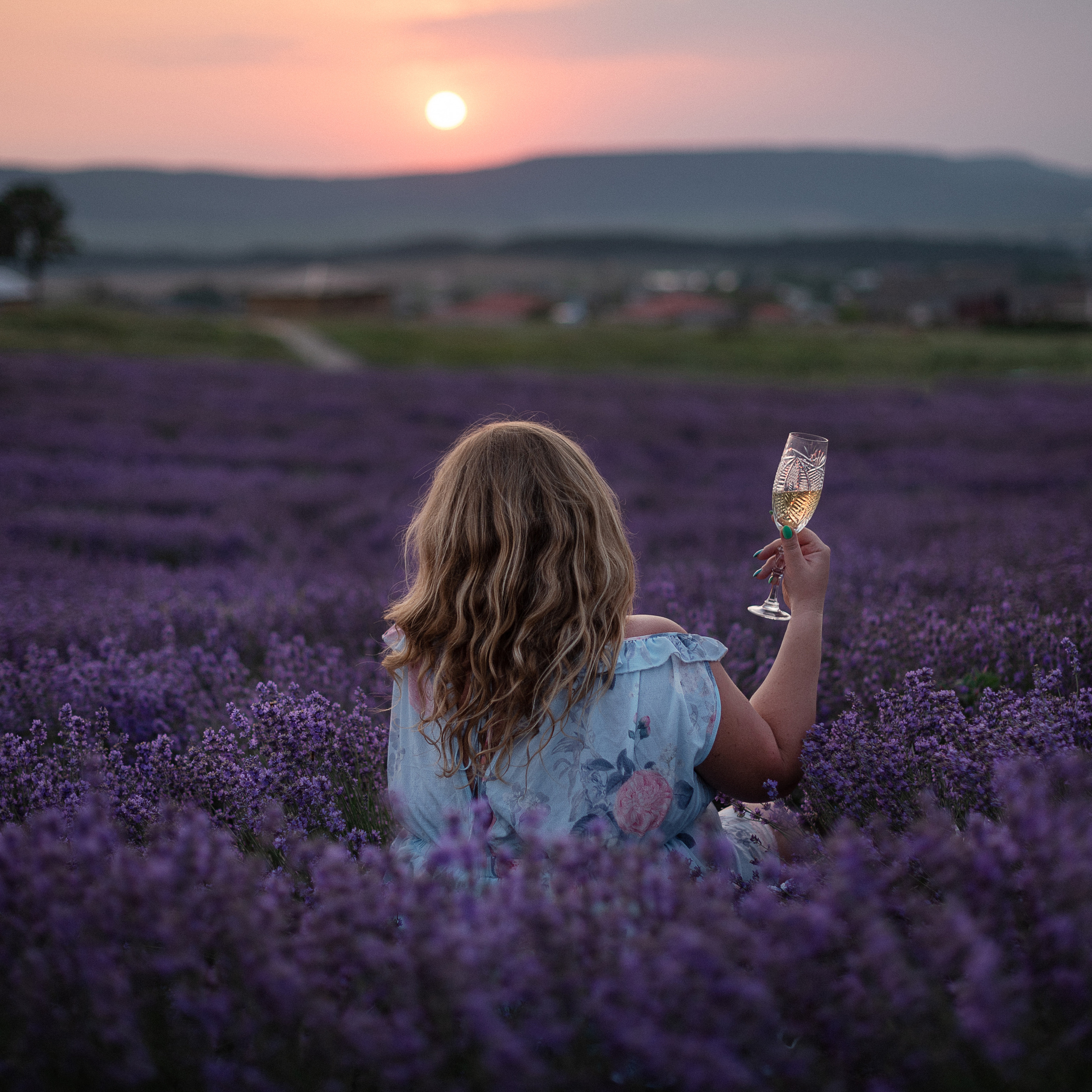Лаванда|Lavanda