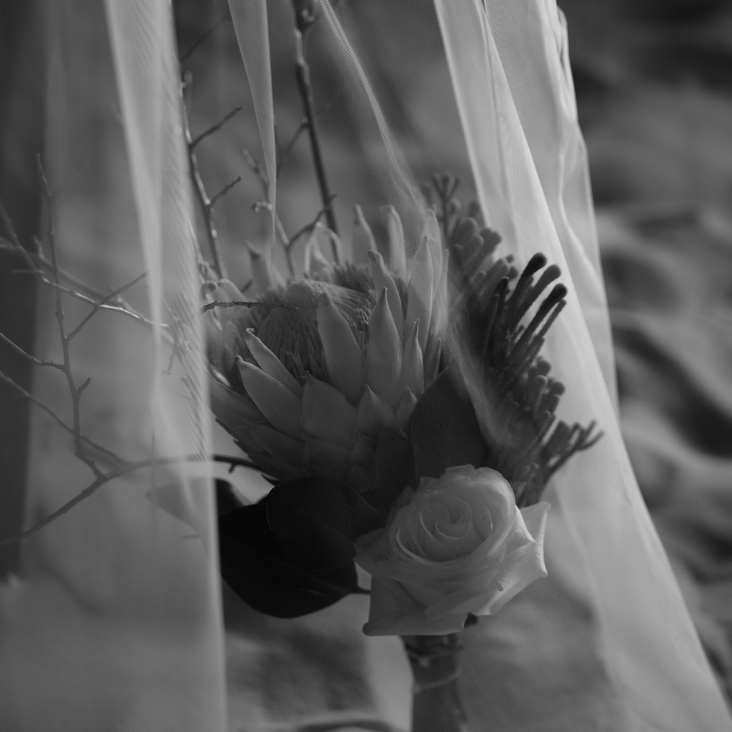 Отзывы. Свадебный фотограф в Спб и Москве