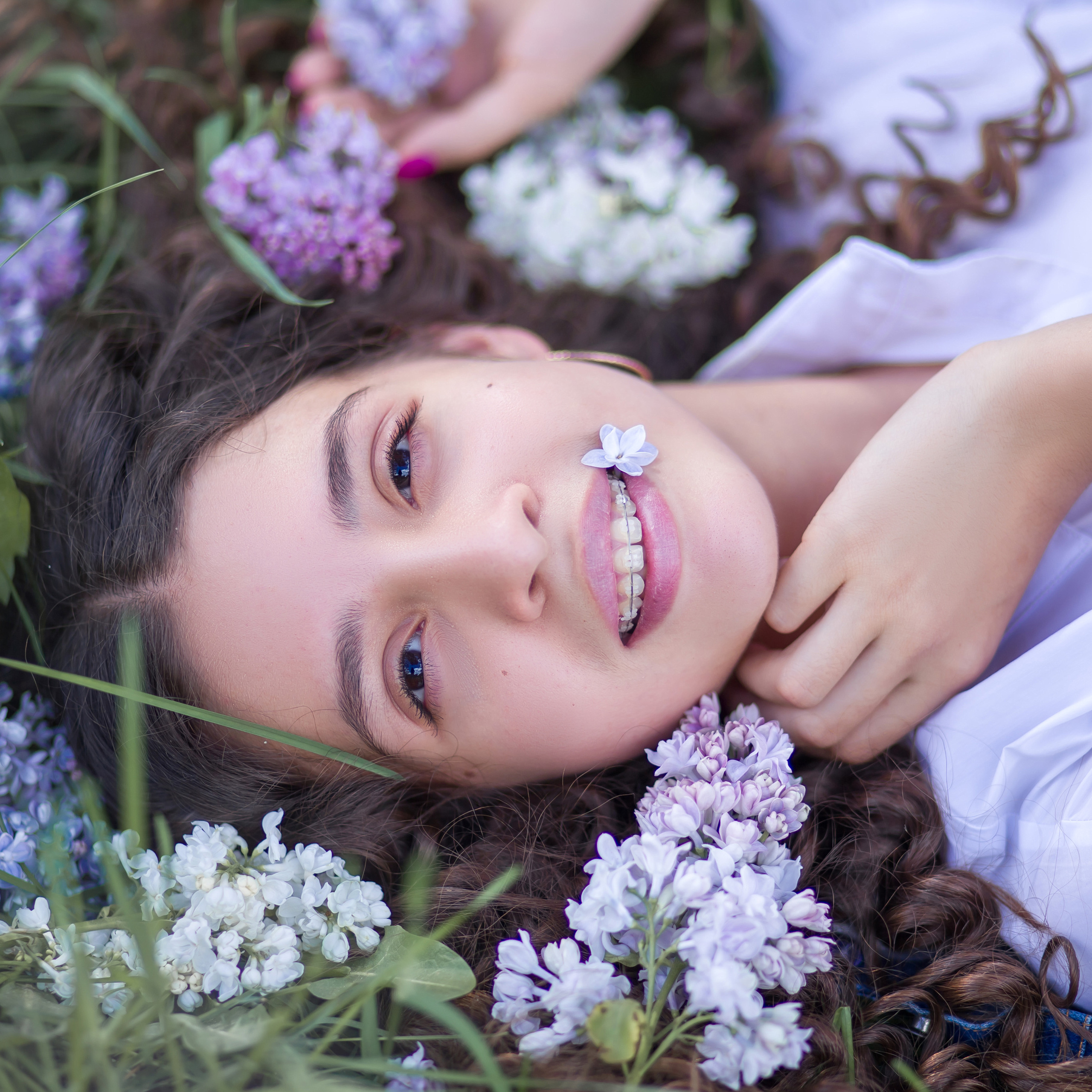 Сиреневый сад