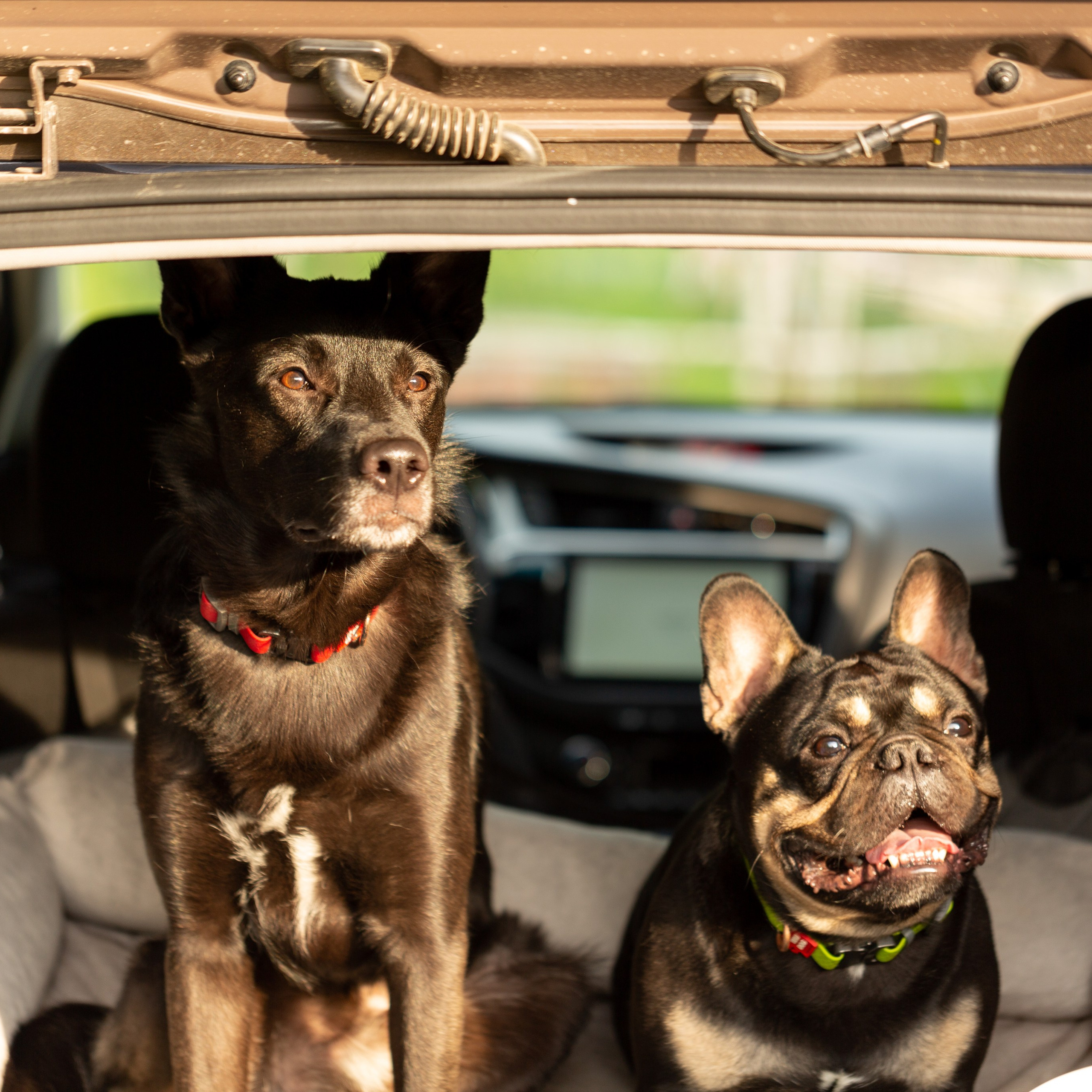 Отзывы. Фотограф Наталья Угрюмова, г. Москва
