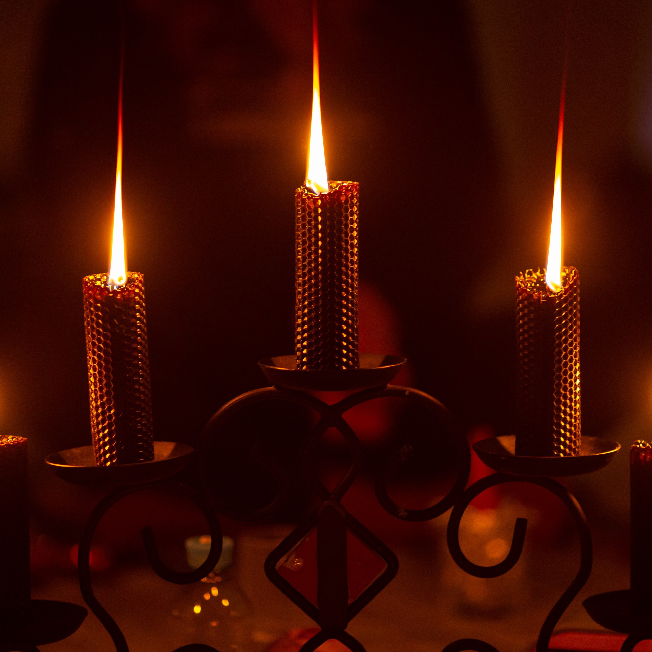 Отзывы. Фотограф Наталья Угрюмова, г. Москва