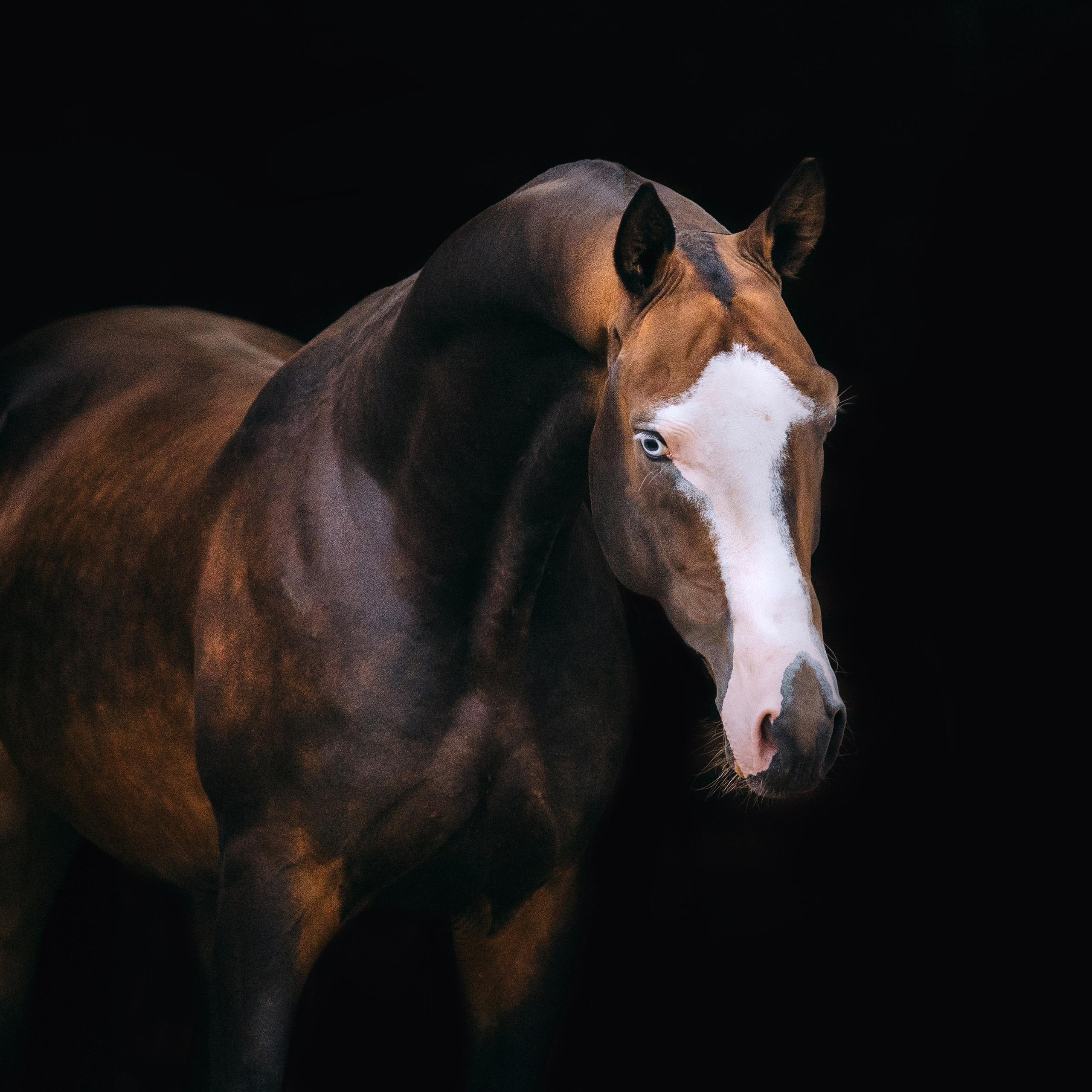 На черном фоне