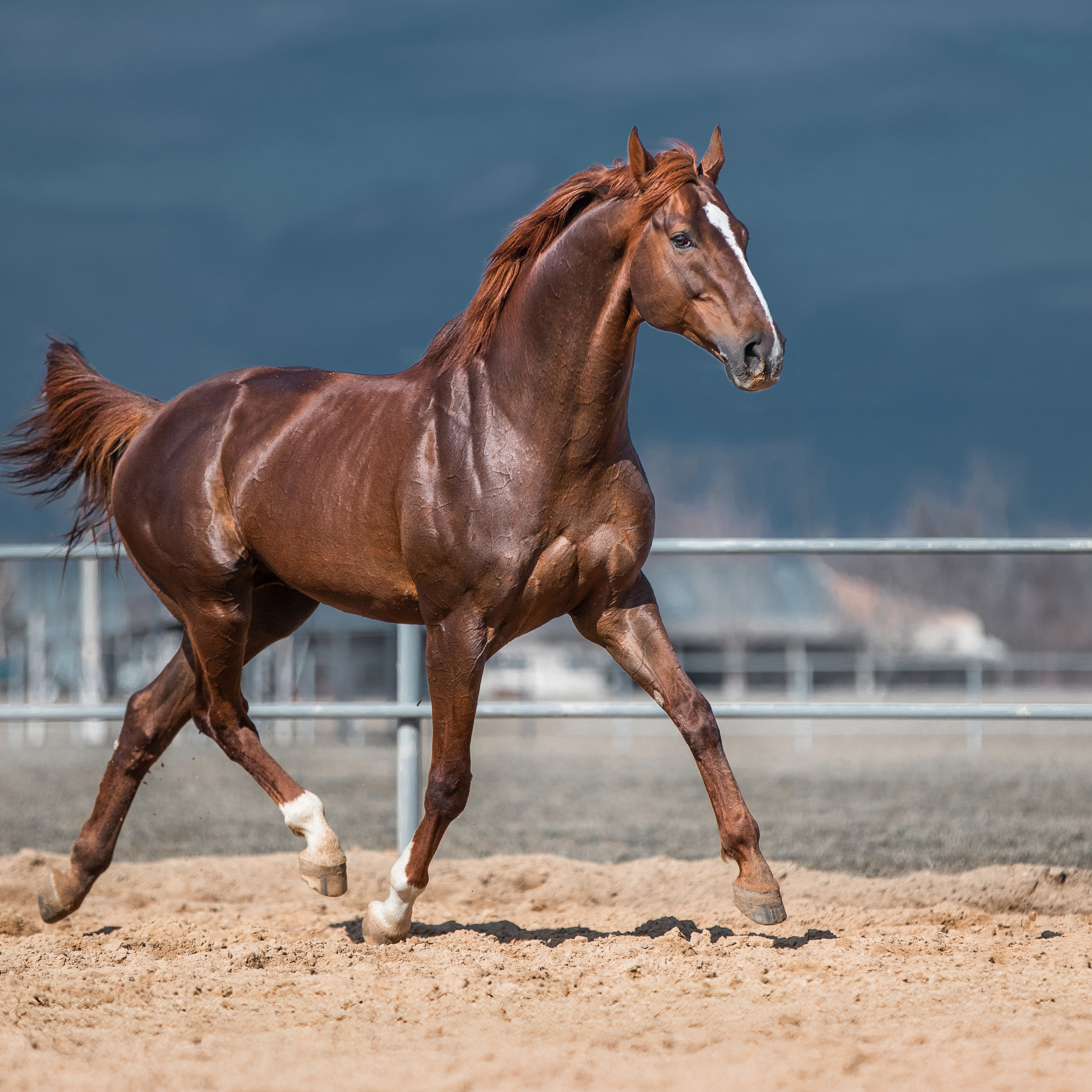 В движении