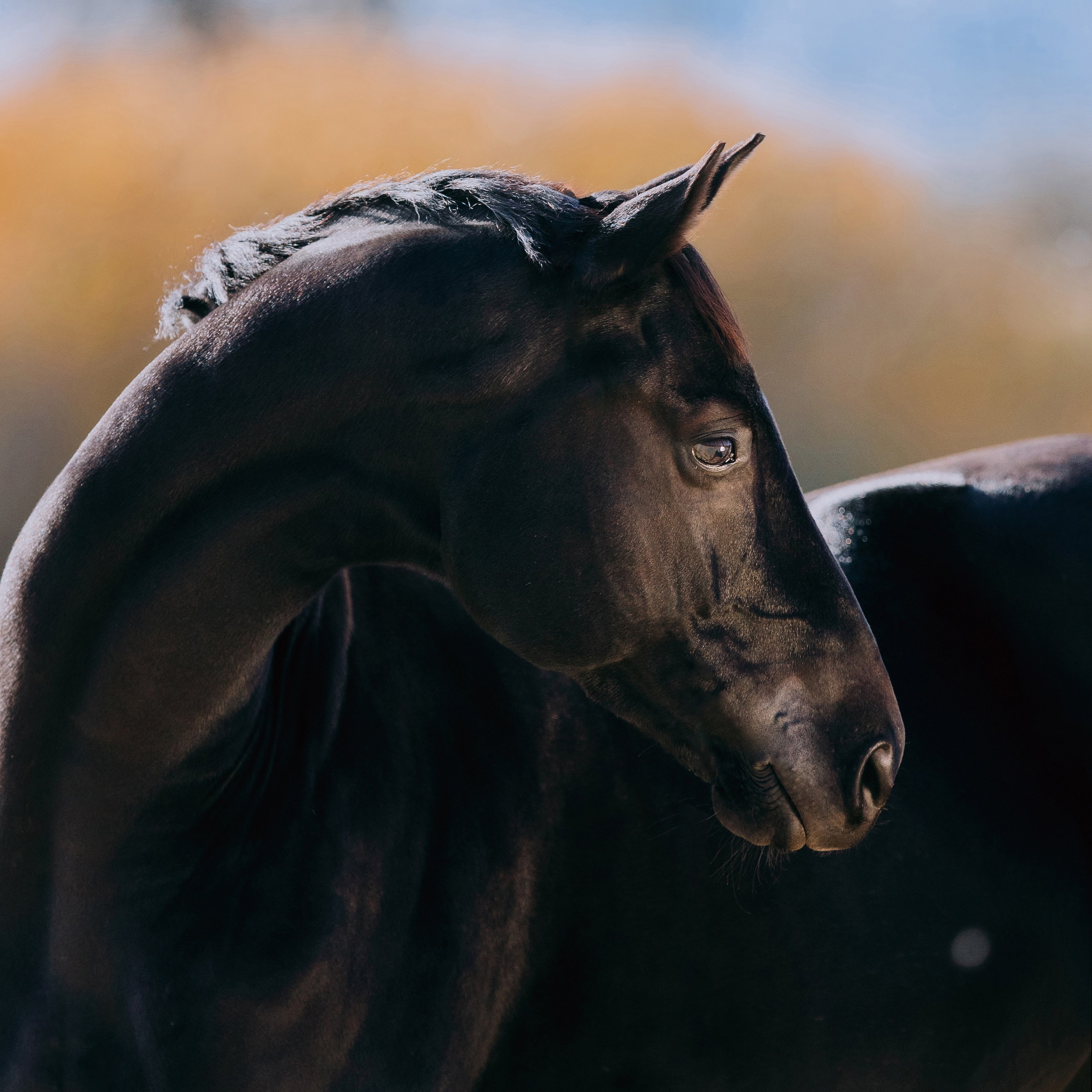 На природе