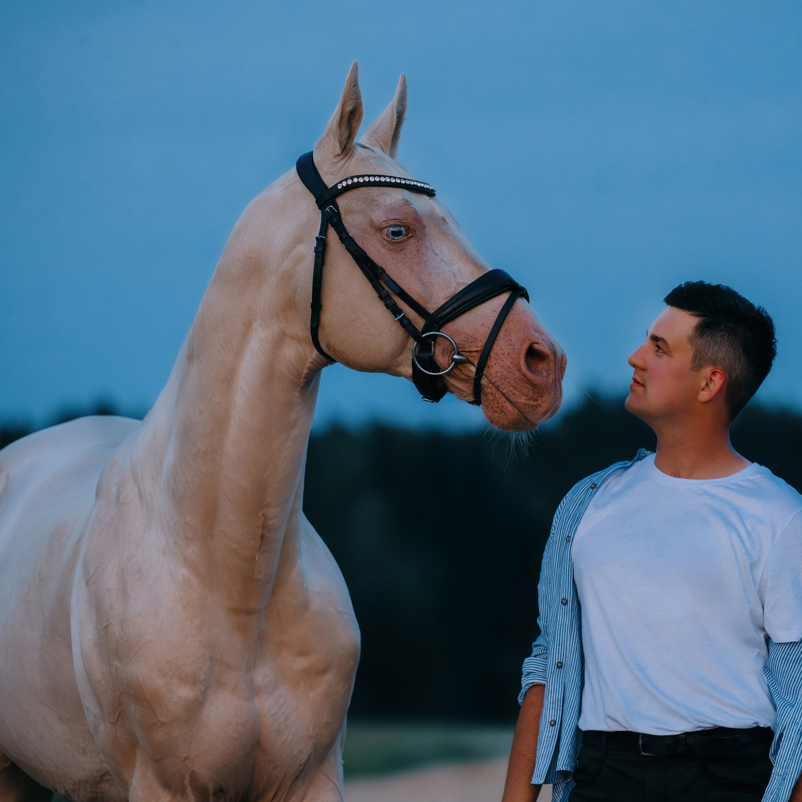 Кирилл и Перигей