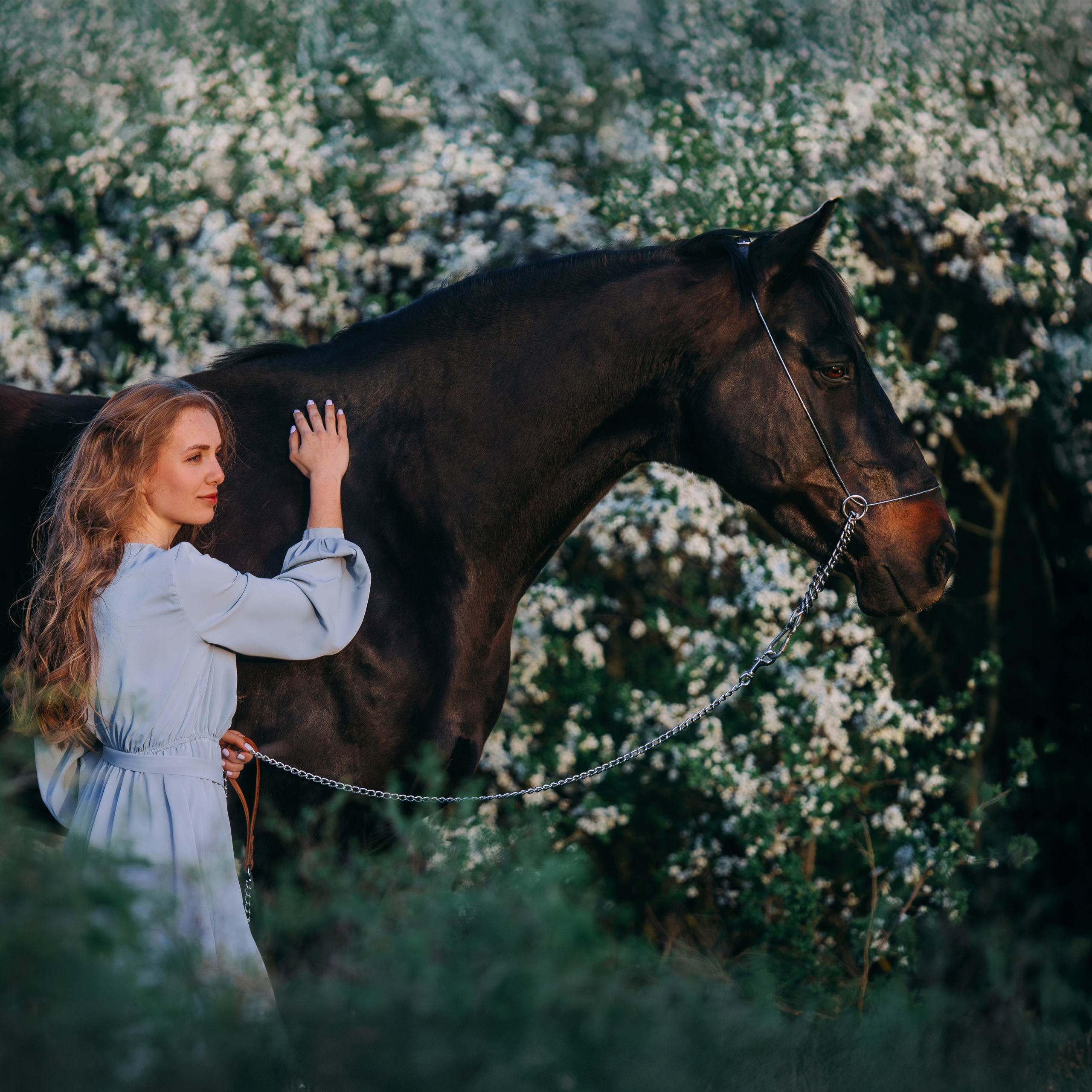 Вероника и Брэй