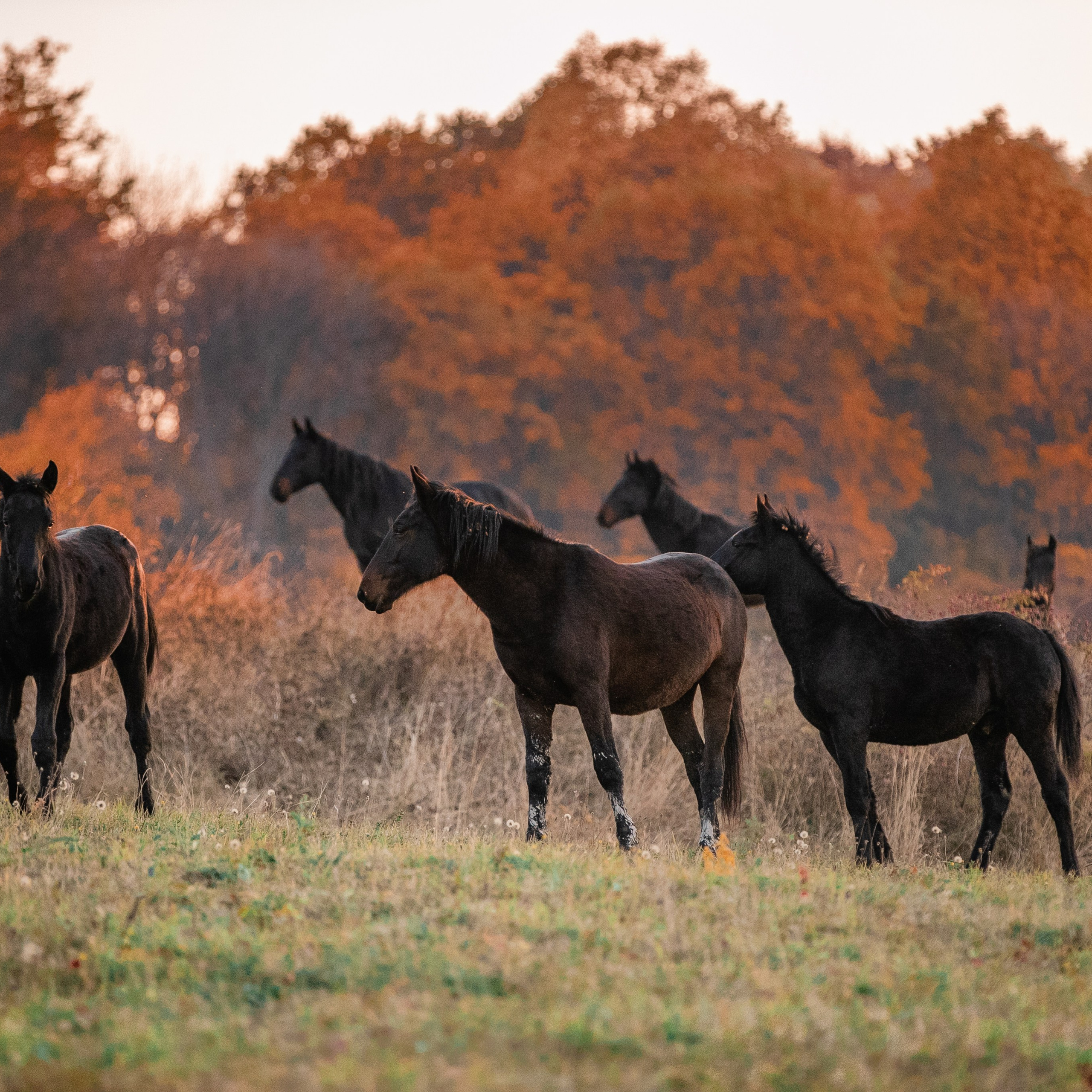 Фототуры в Карачаево-Черкессии 2019-2020