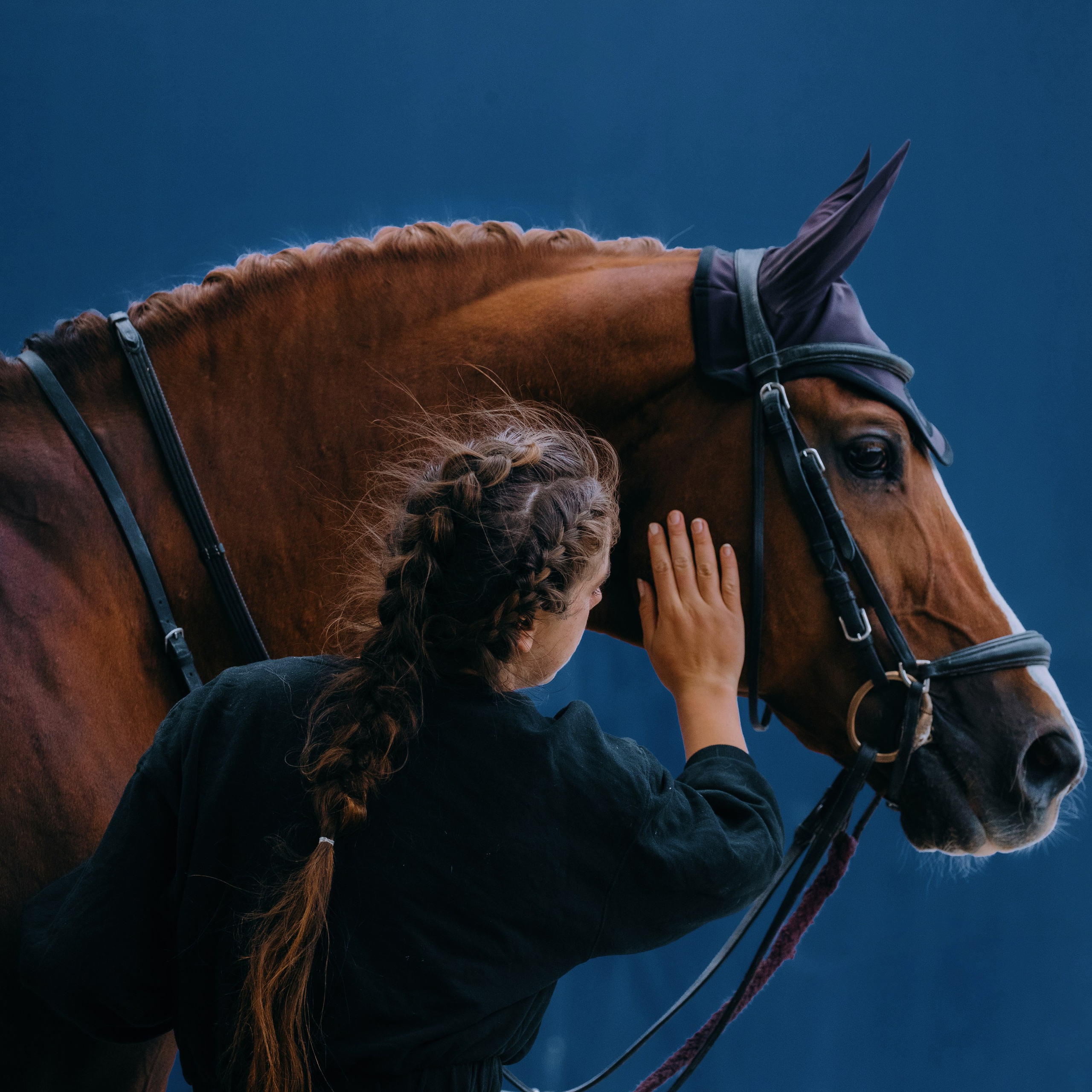 Тренировки