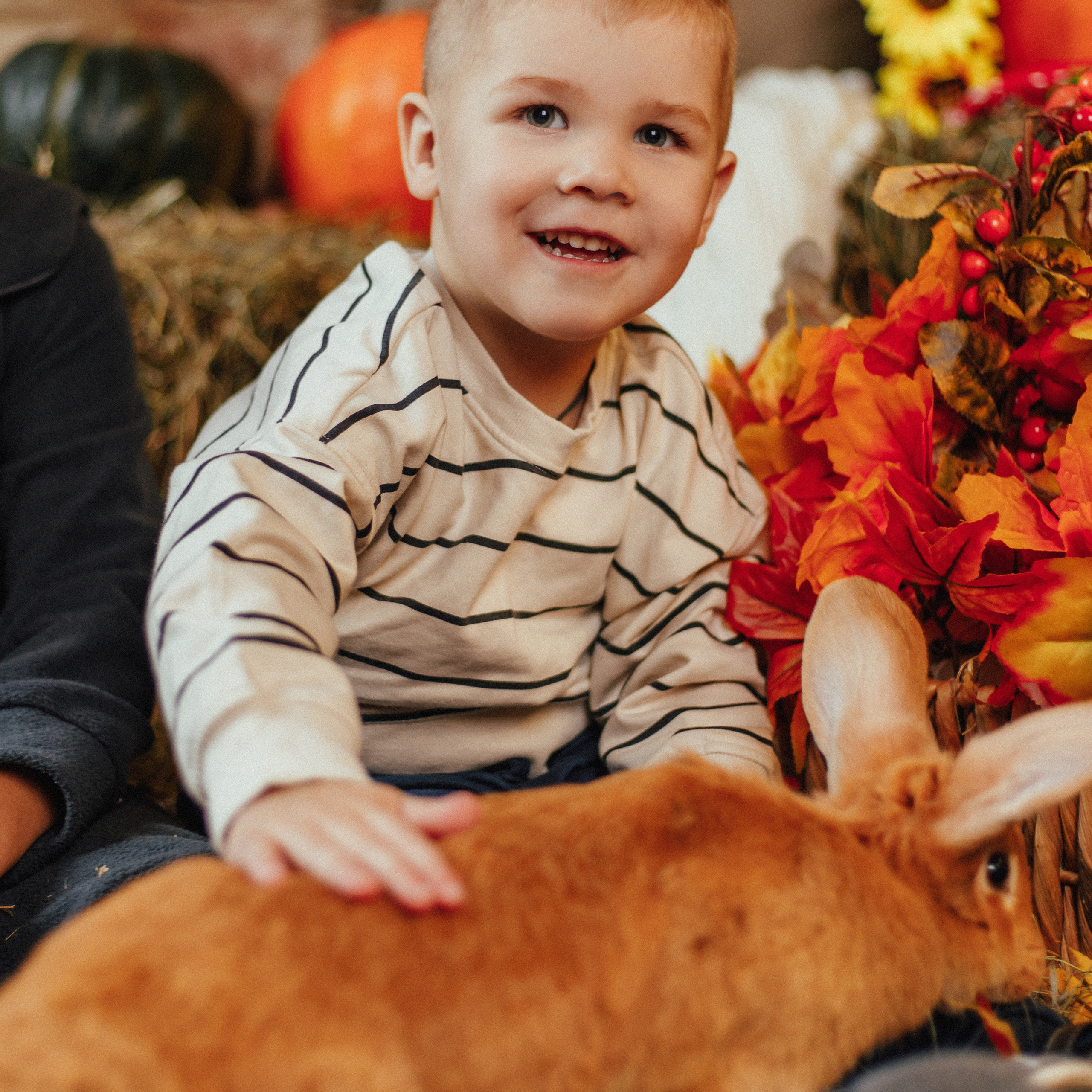 Отзывы. Фотограф в Москве