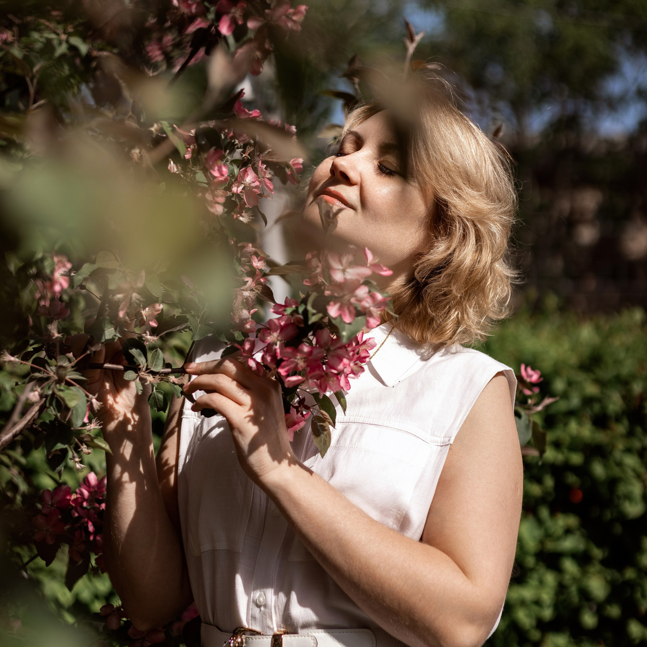 Цветение яблони 2023