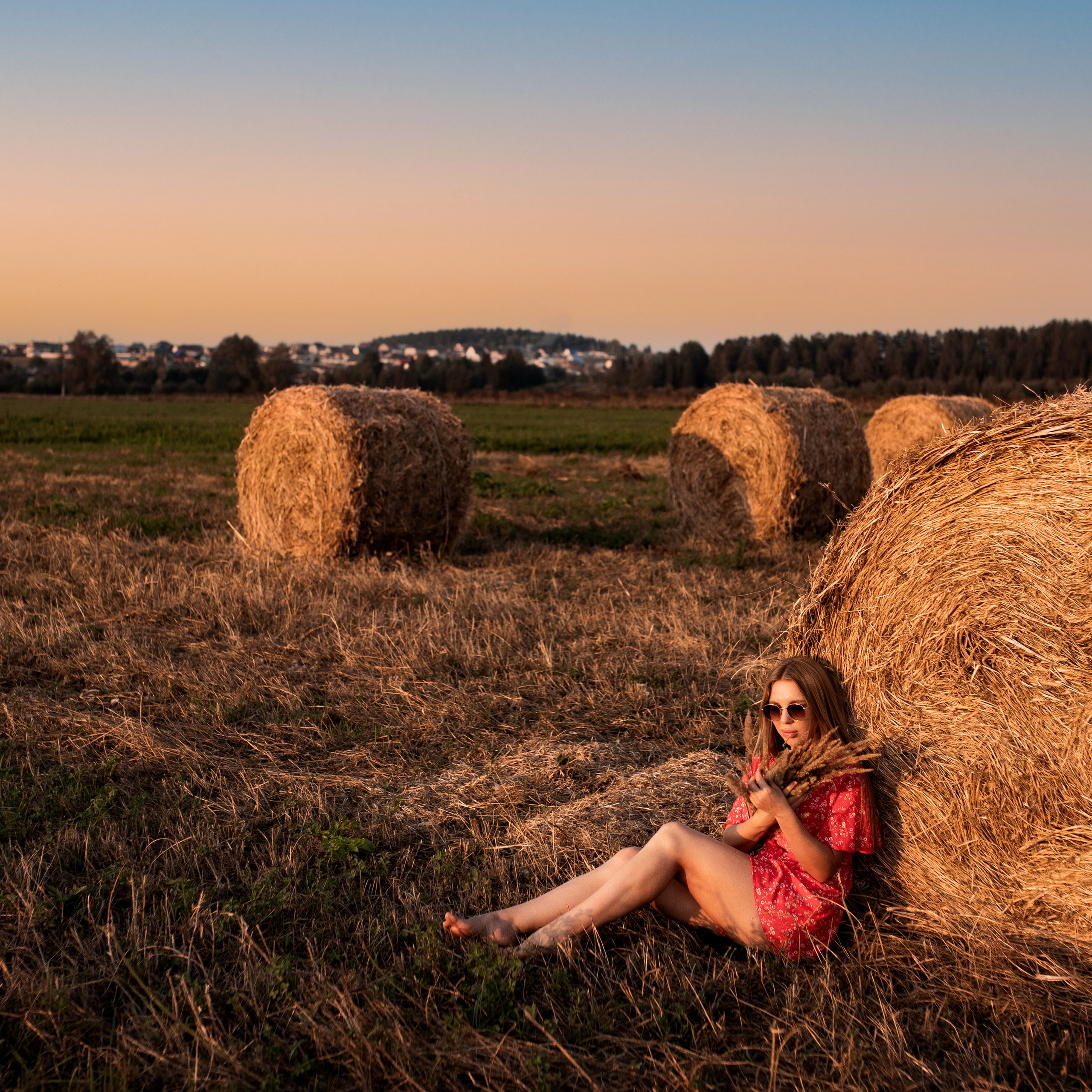 Поле. Закат. Август 2022. Ксения.