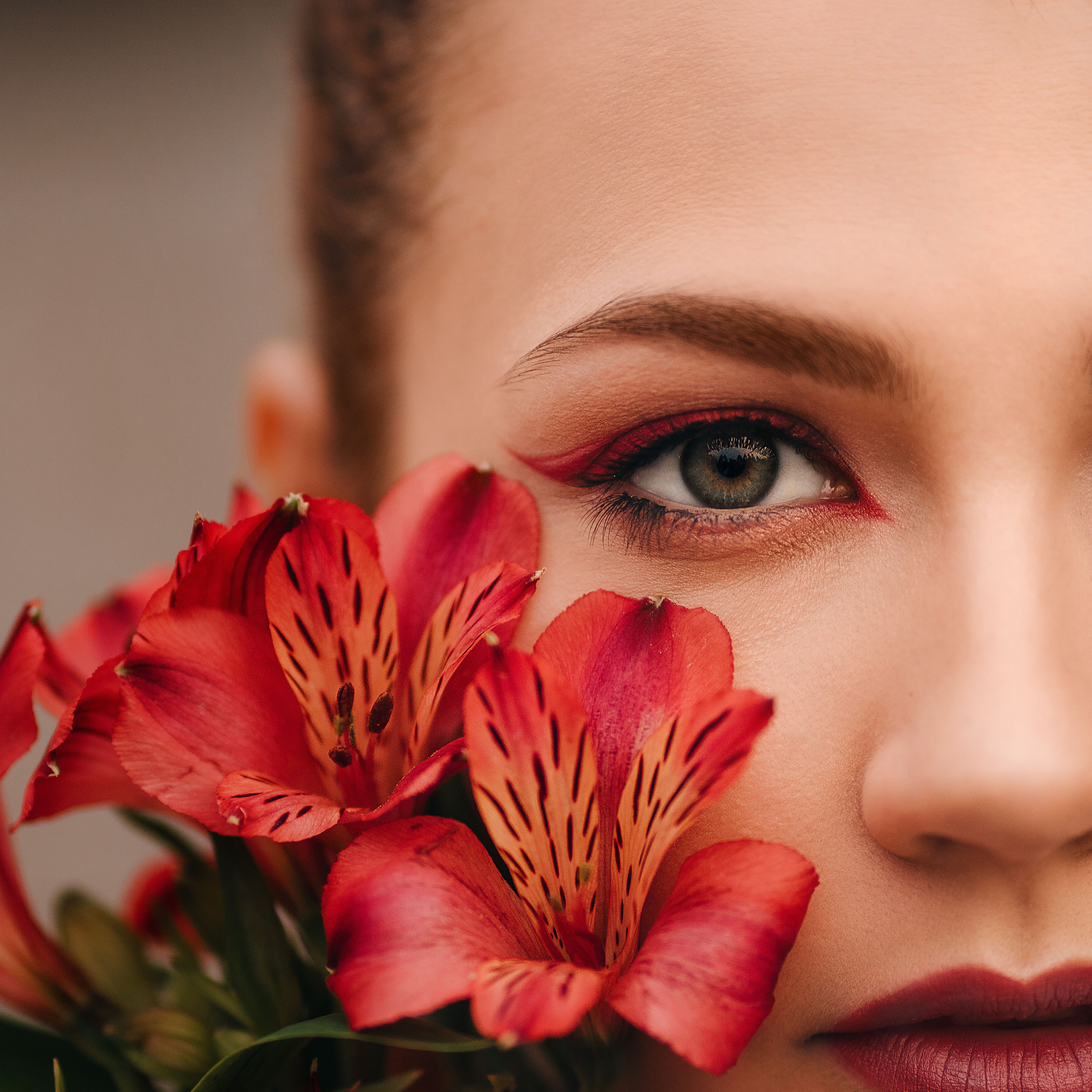 Альстромерия