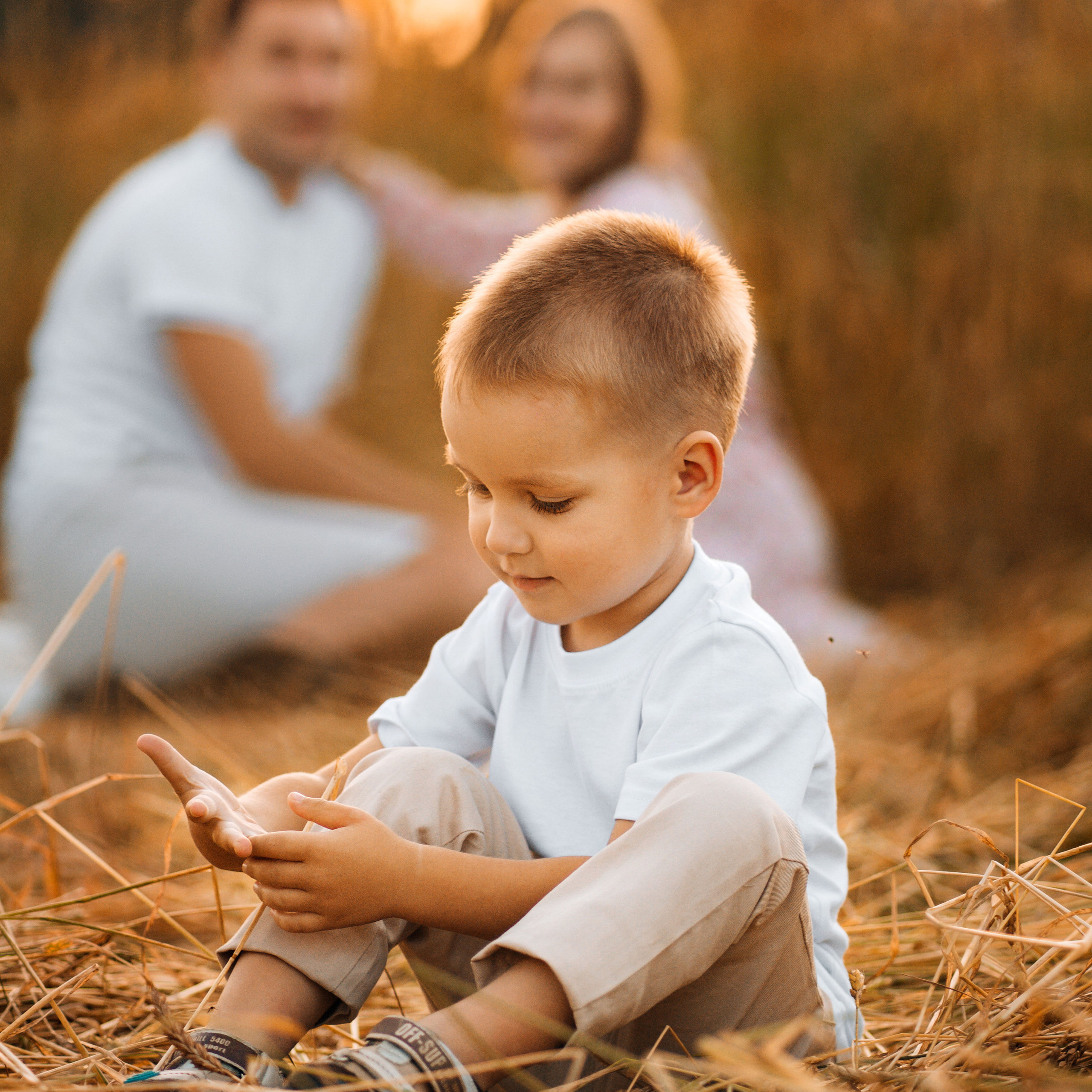В пшеничных полях