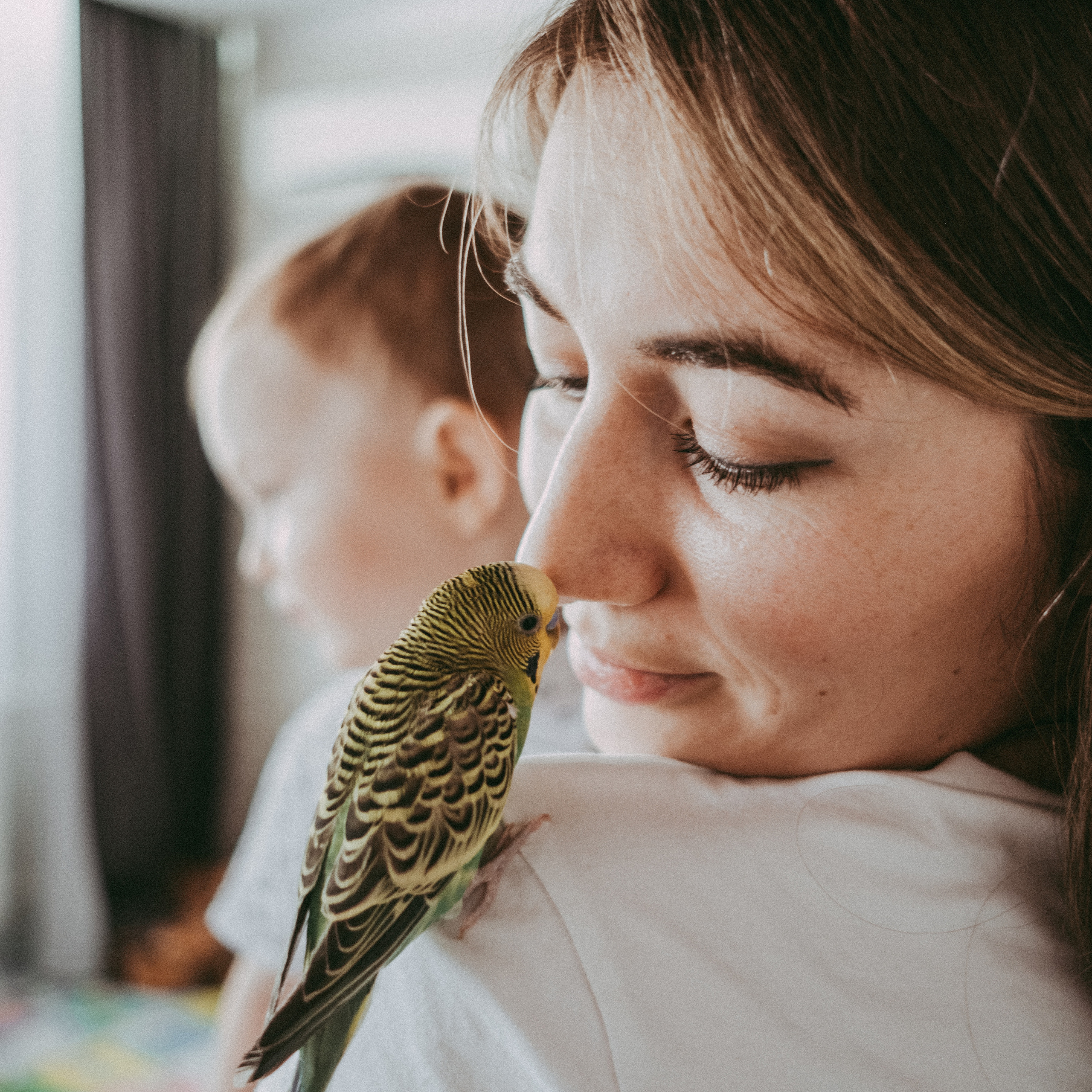 Домашняя съёмка у&nbsp;Алии