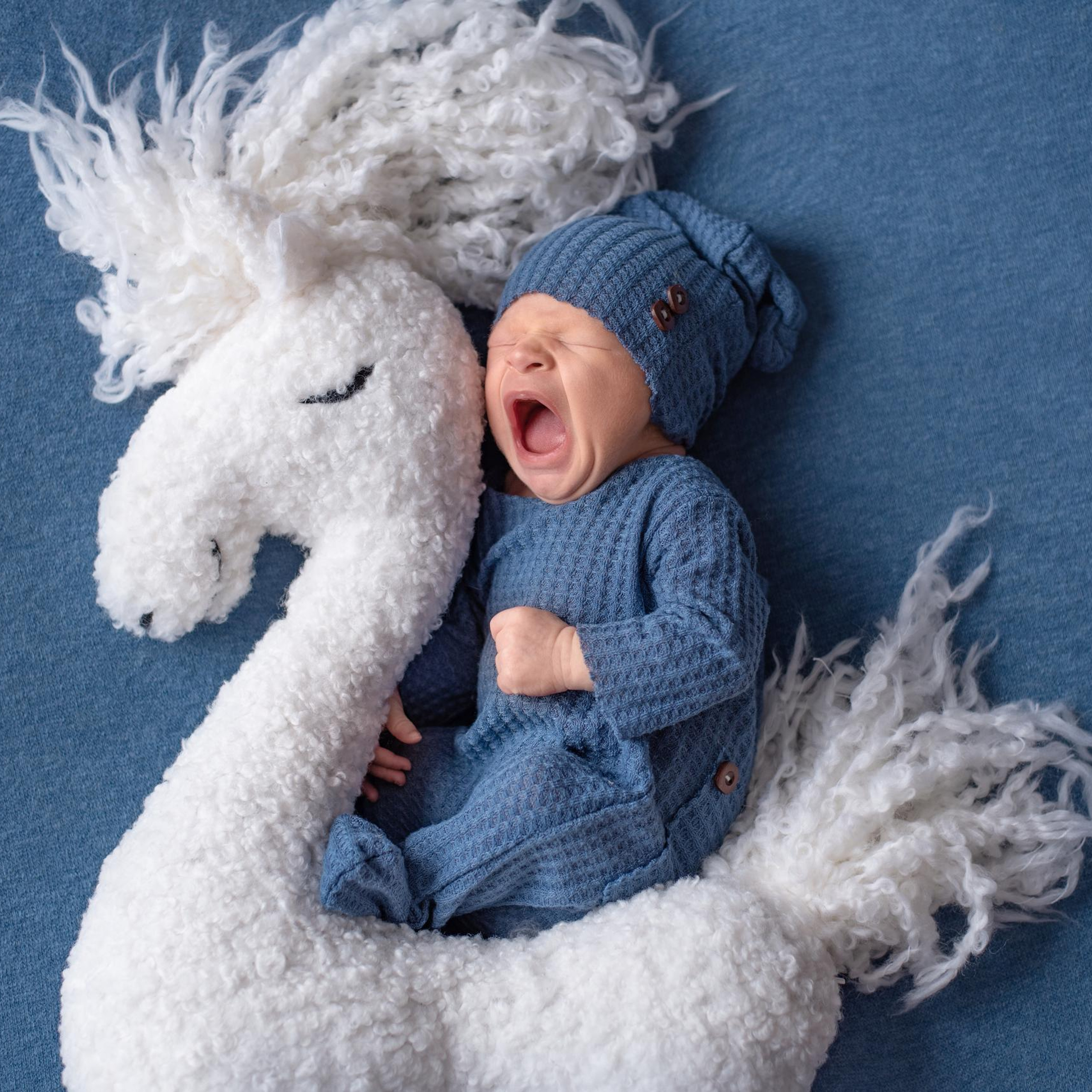 Фото новорожденного с лошадкой