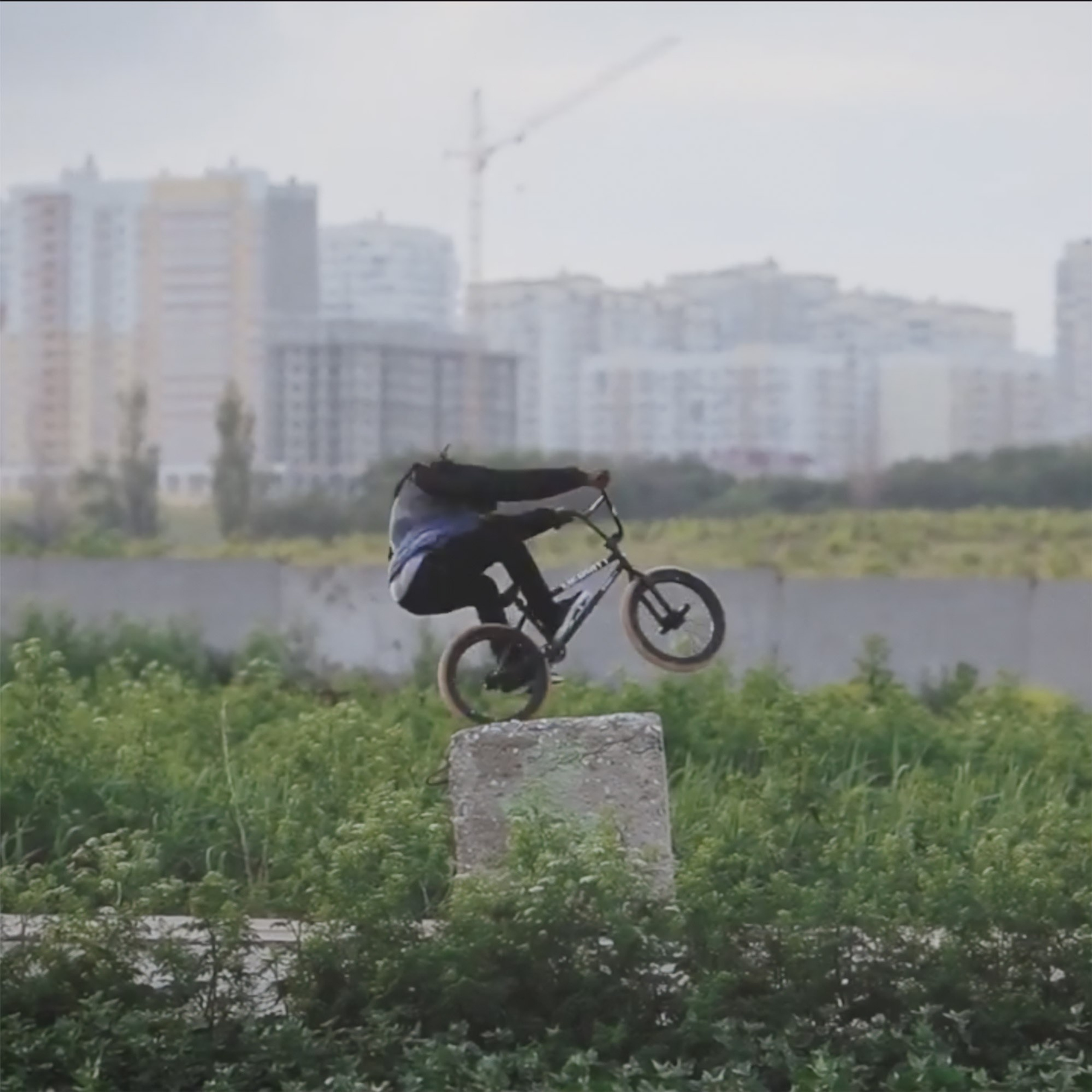 Brad Simms spot check