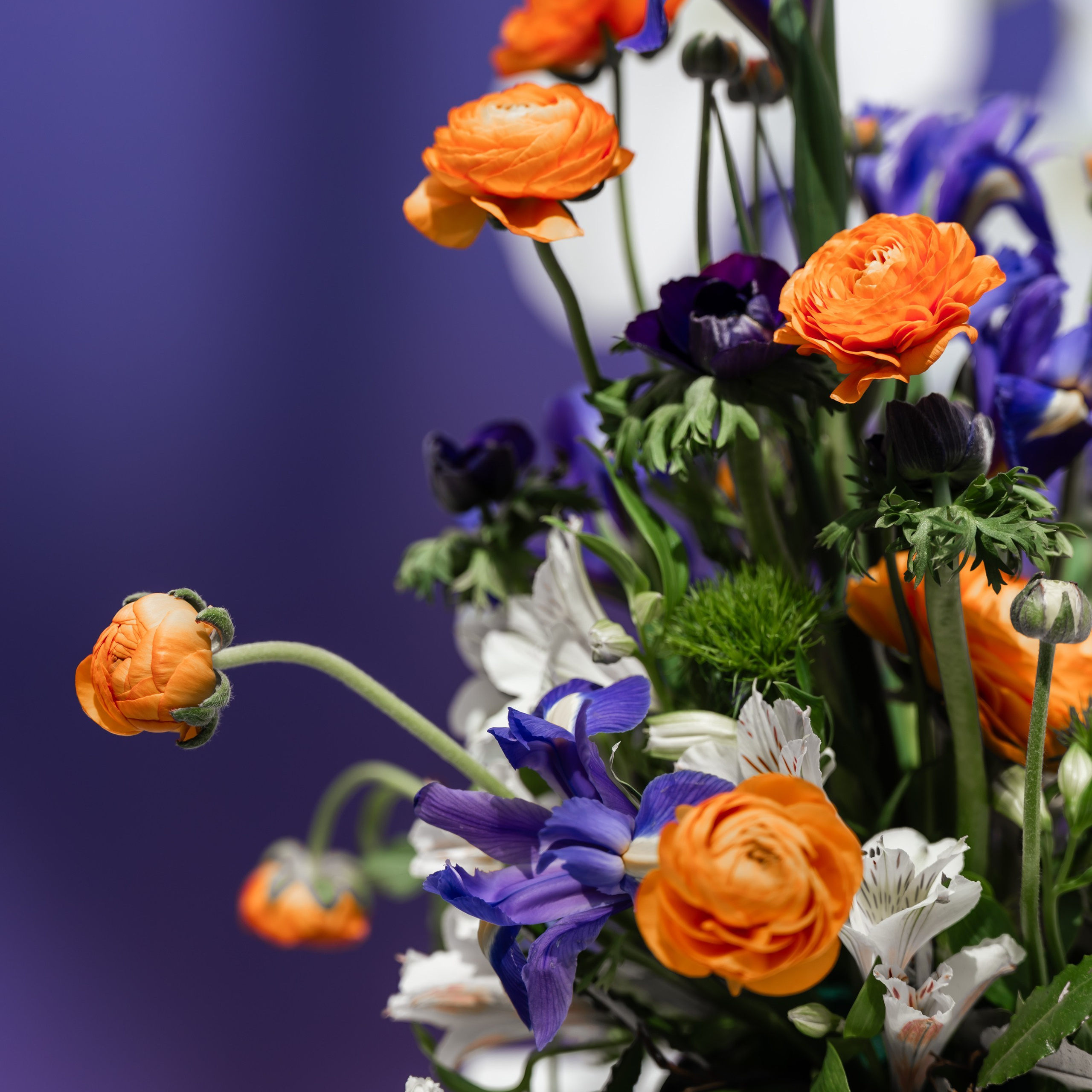 Отзывы. Репортажный фотограф | Роза Хутор Красная Поляна Сочи Сириус