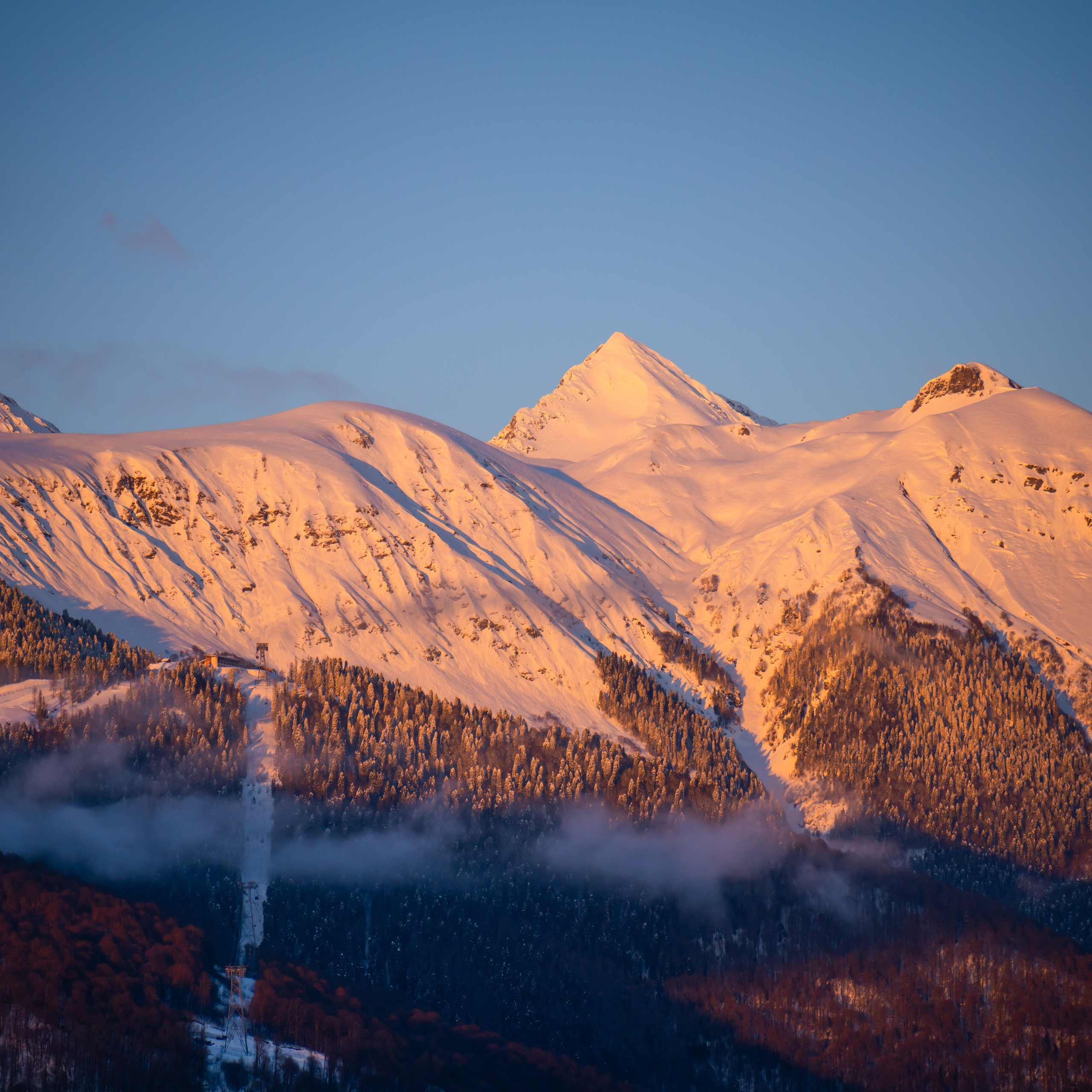 Отзывы. Репортажный фотограф | Роза Хутор Красная Поляна Сочи Сириус