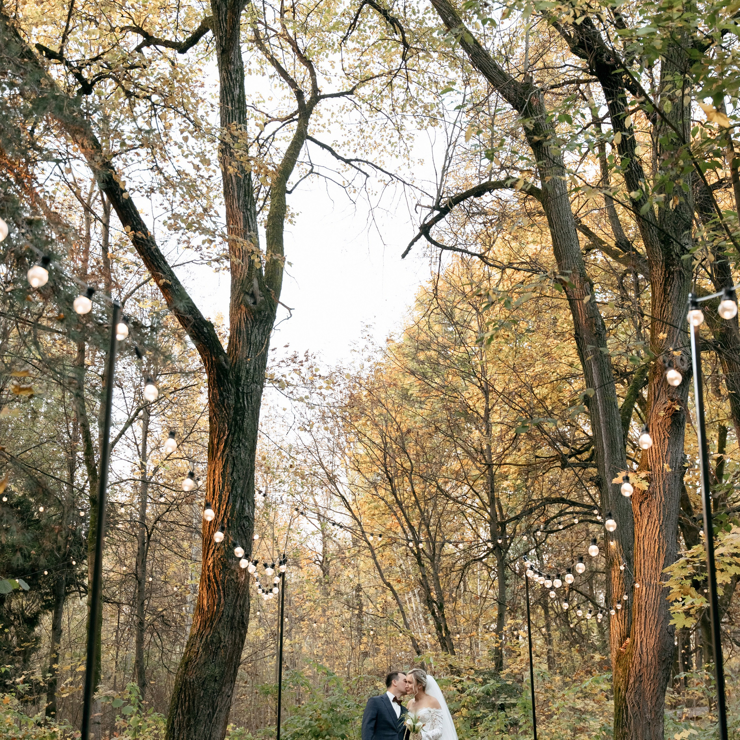 Forest Dew, осень и много музыки