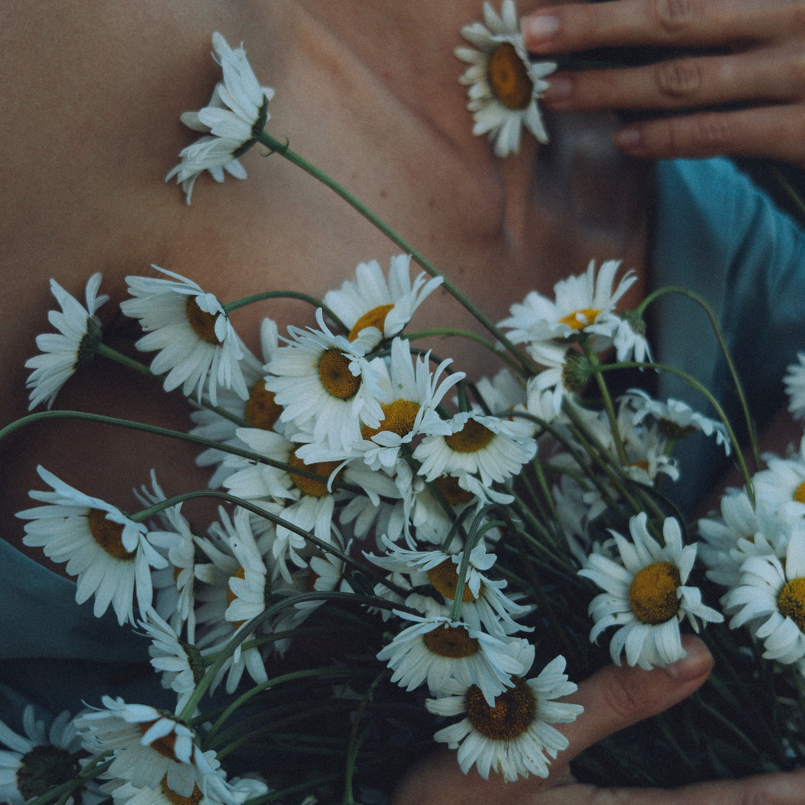 Женский портрет