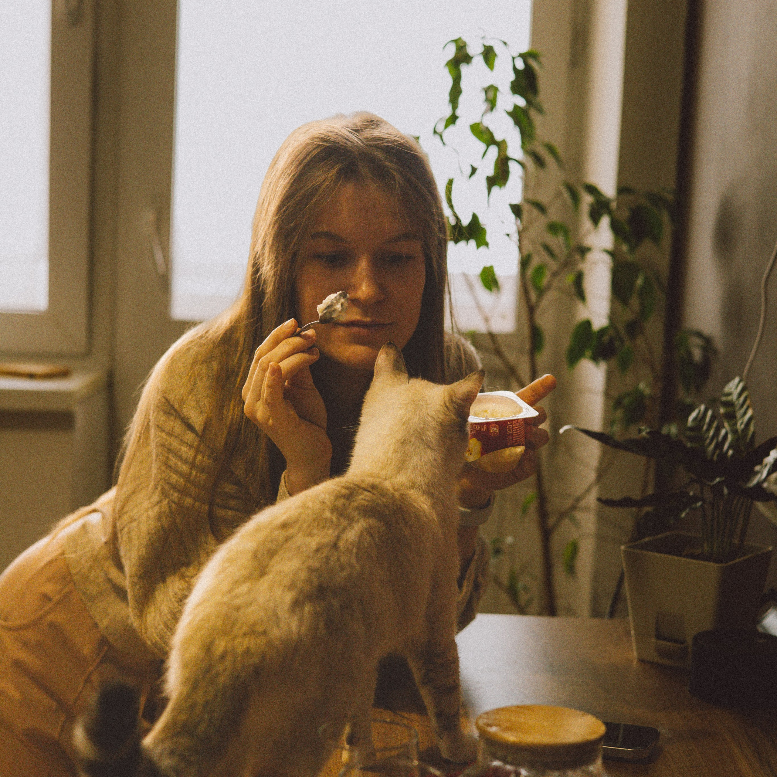 Домашняя съёмка