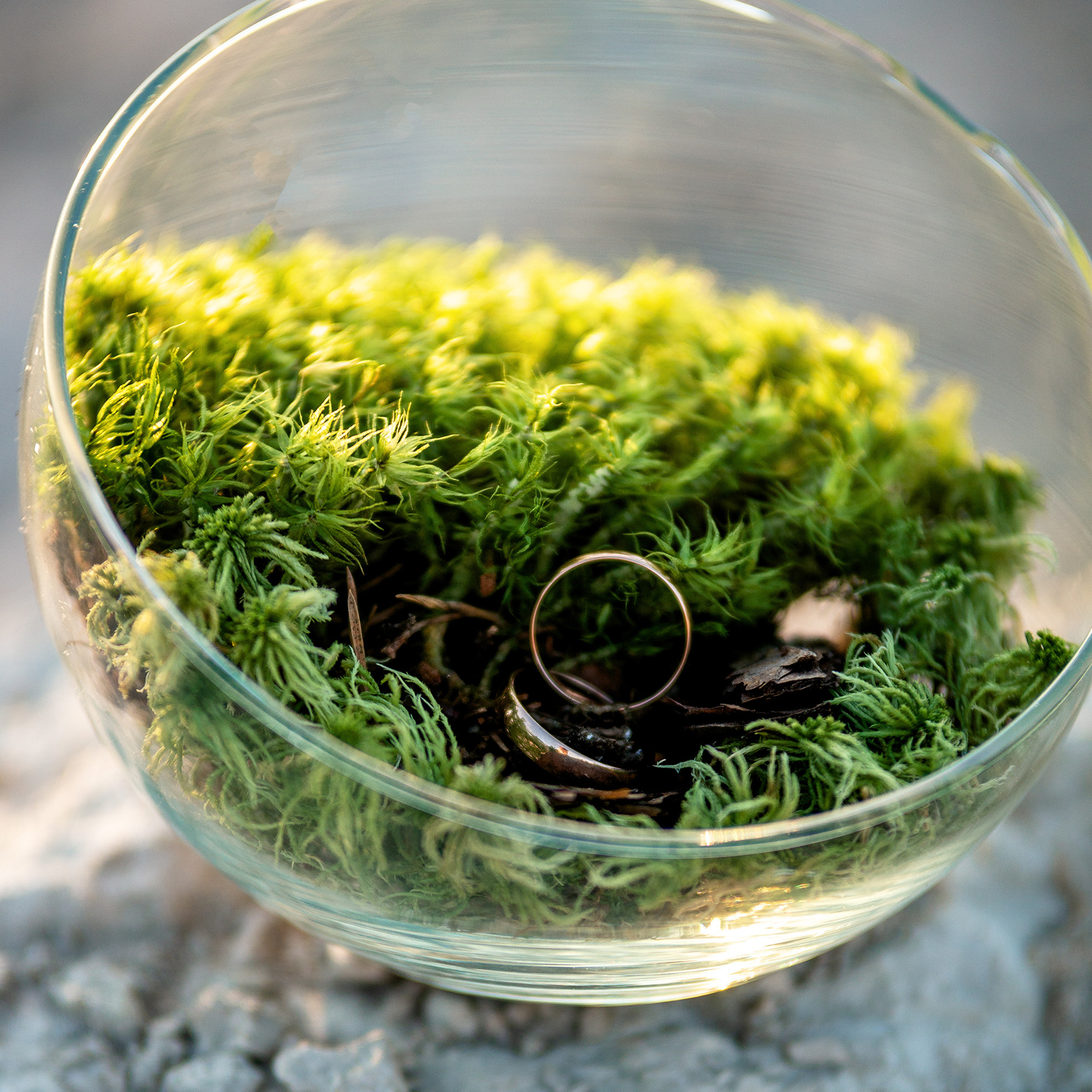 Кристина и Павел. Свадебный фотограф в Кирове