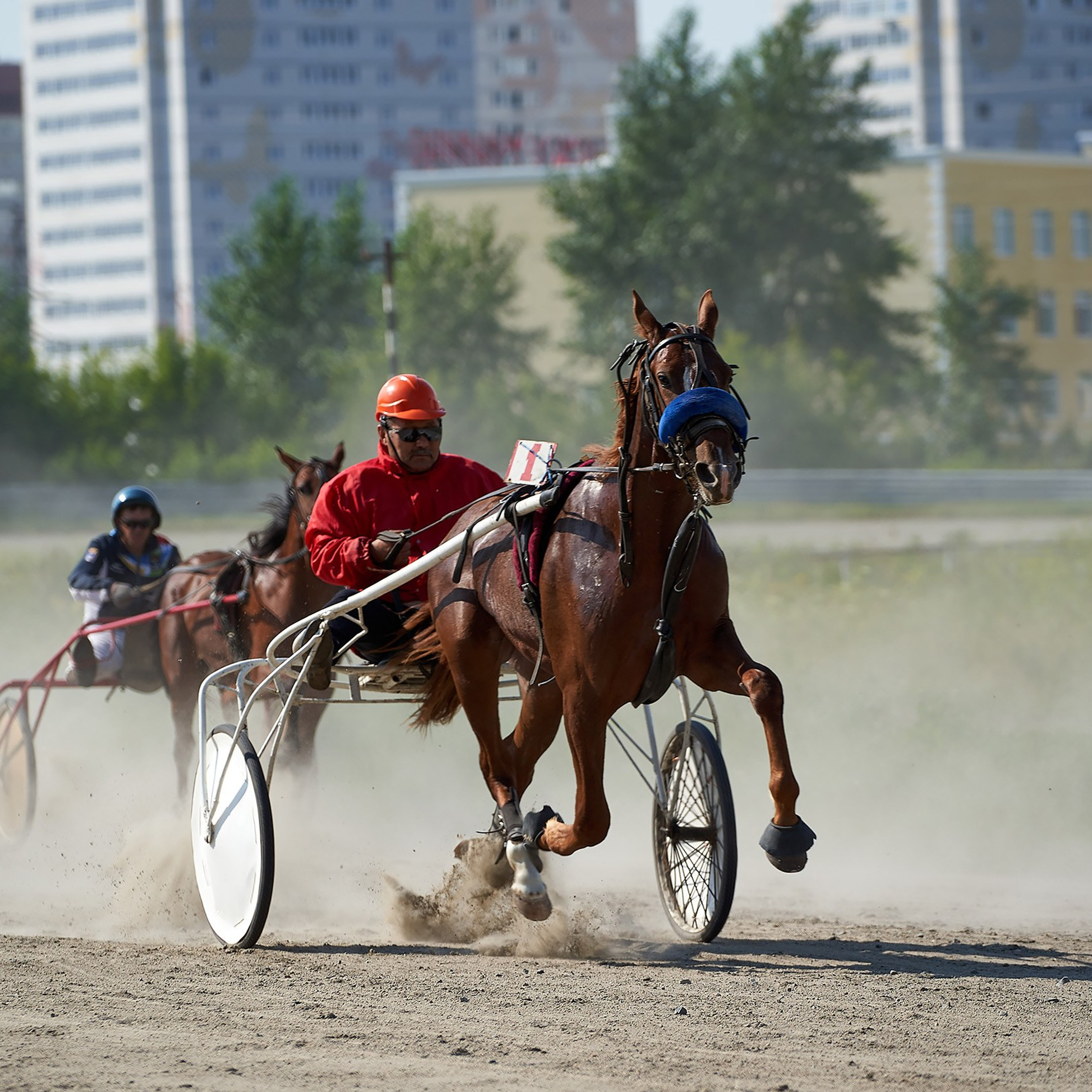 Скачки фаворитов 2018 г. Тюмень