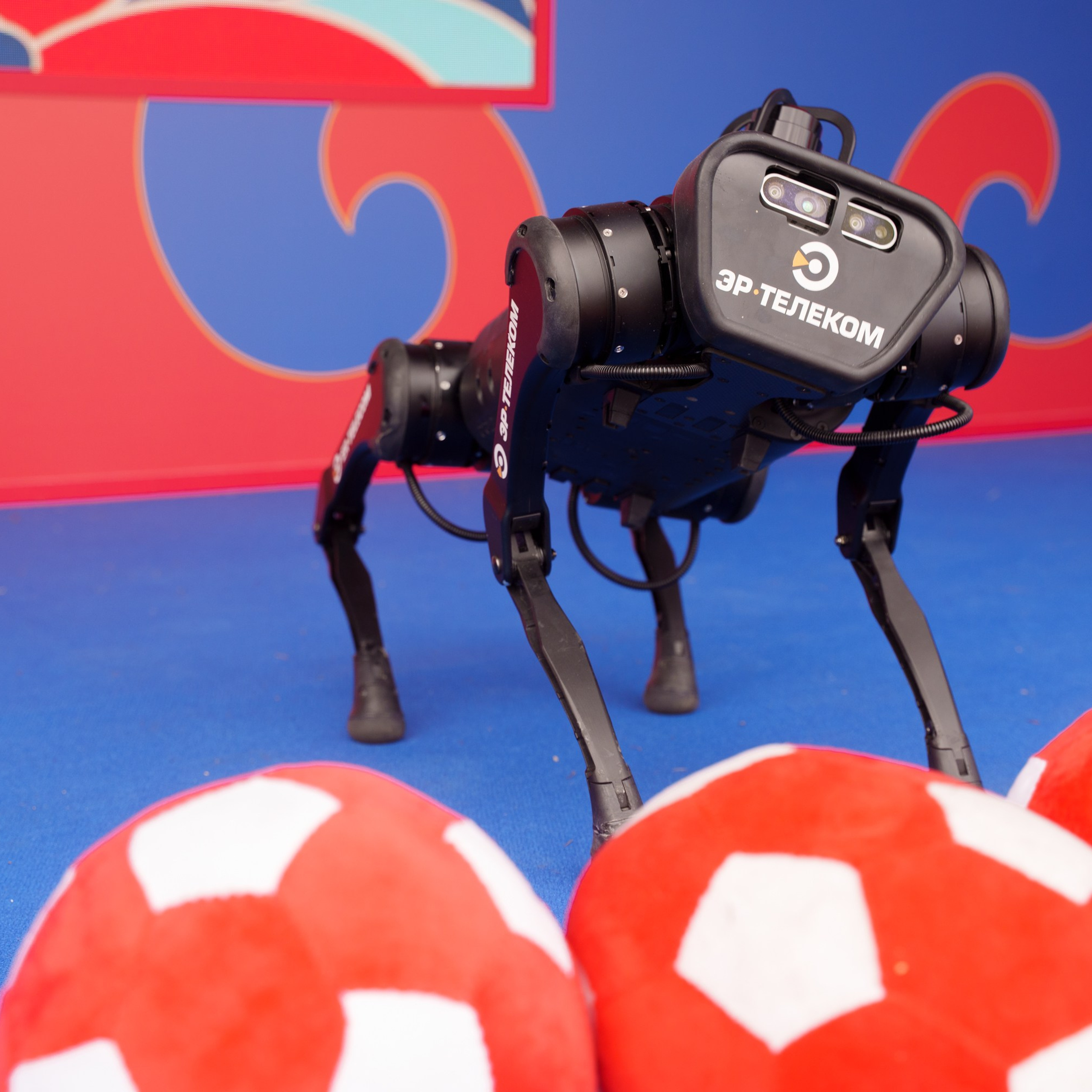 Дом.ru_Барда