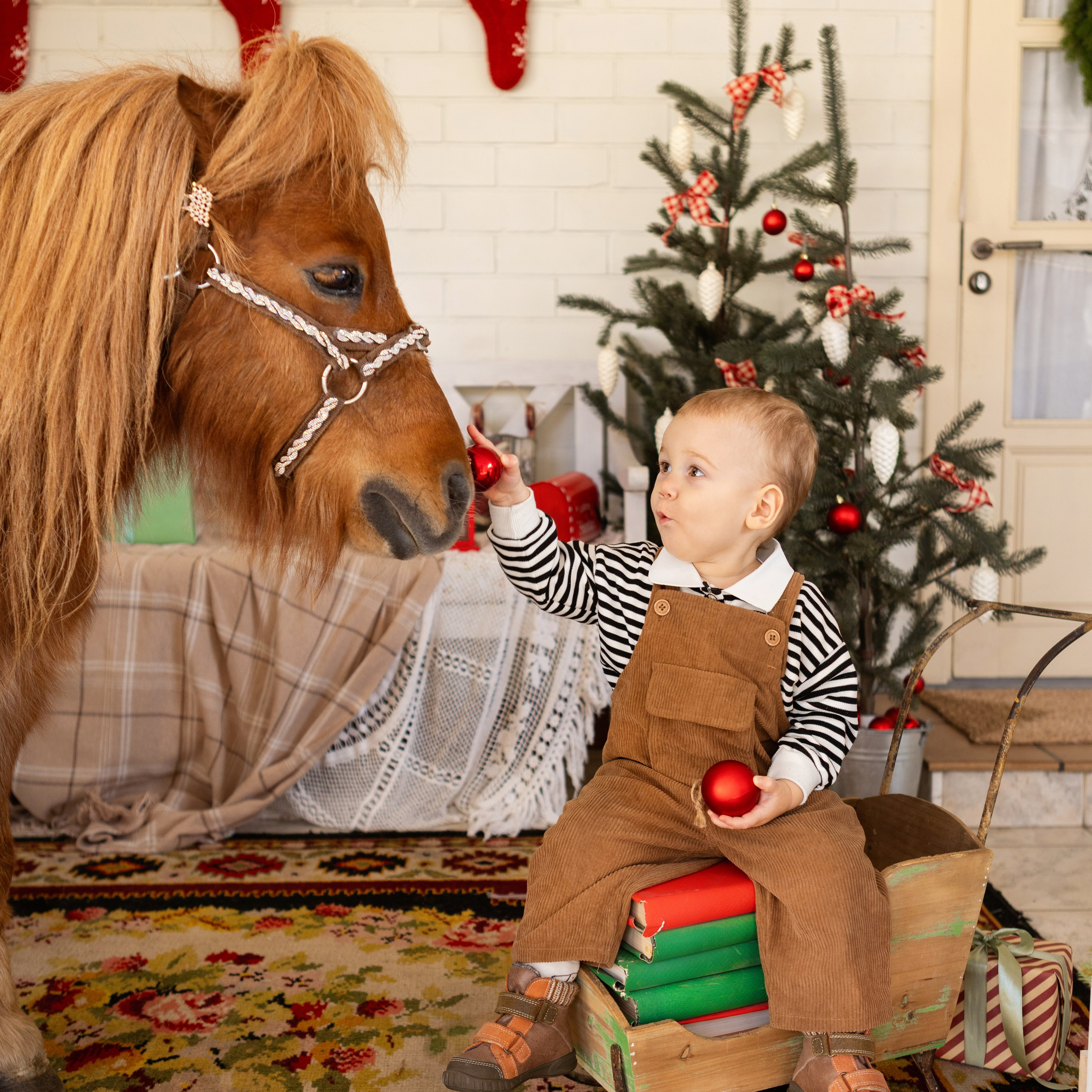 Символ 2026 года «Пони-Бонус». Фотостудия Ольги Сурухановой