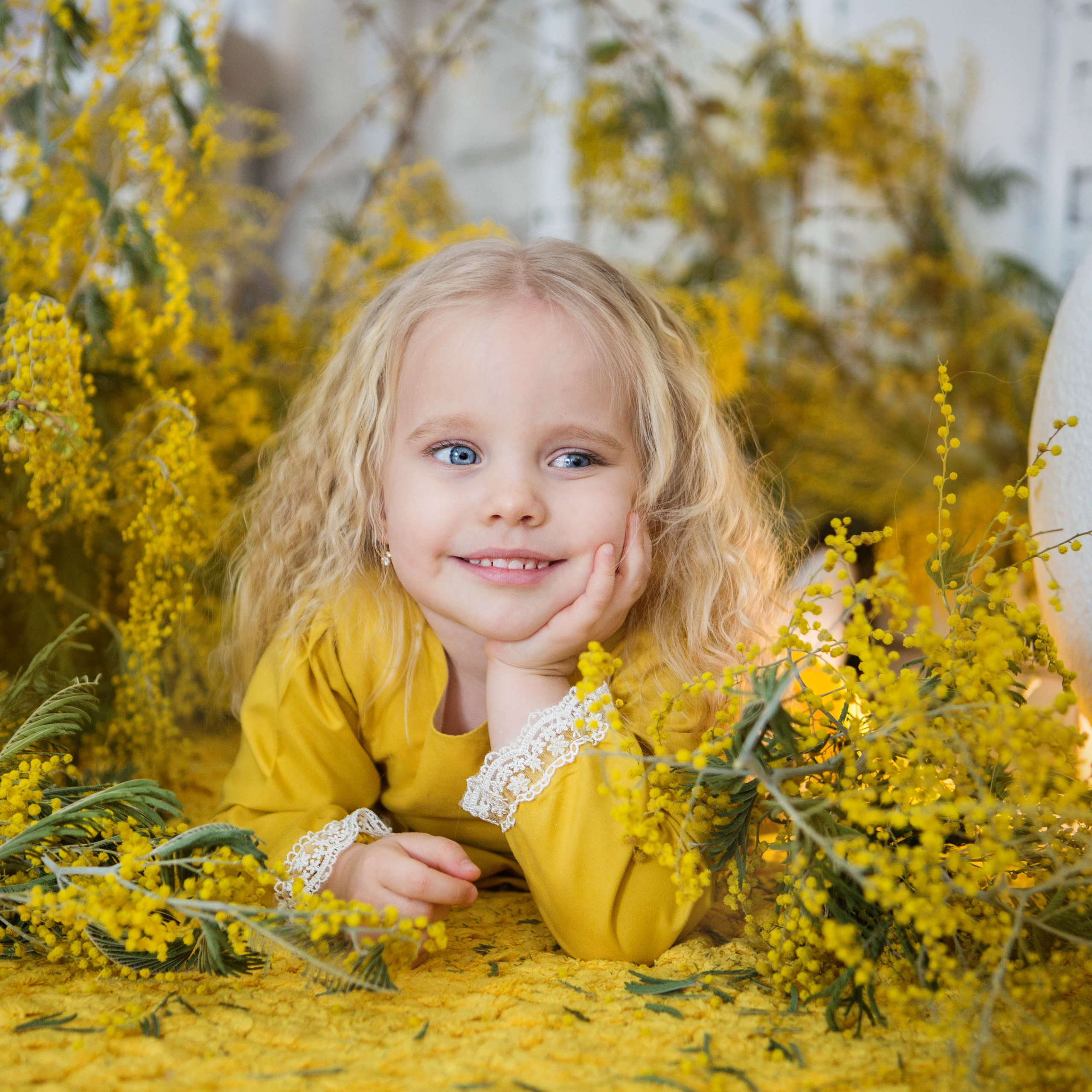 «Мимоза». студия «Авторская»