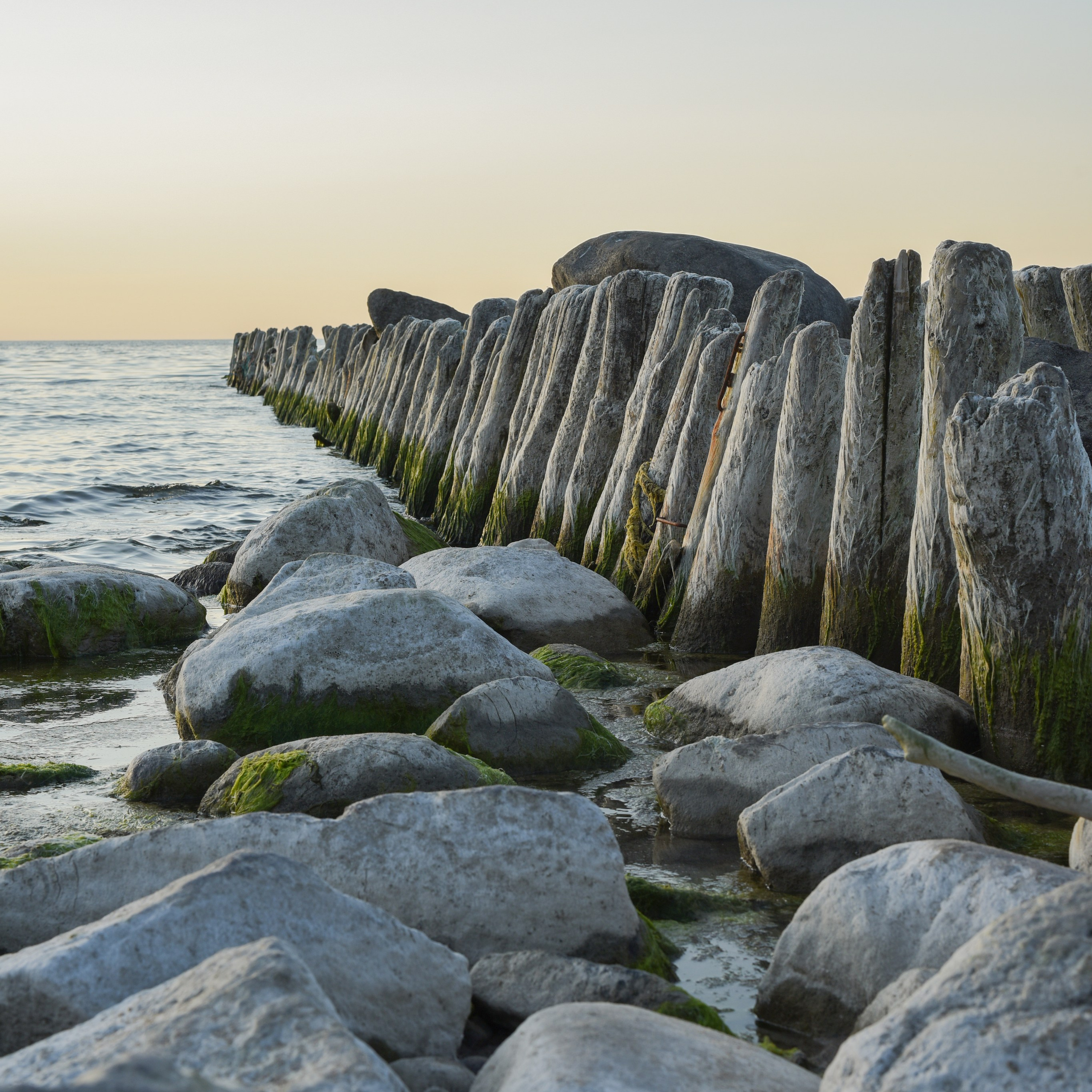 Fashion Photographer Liudmila Kuzmnko